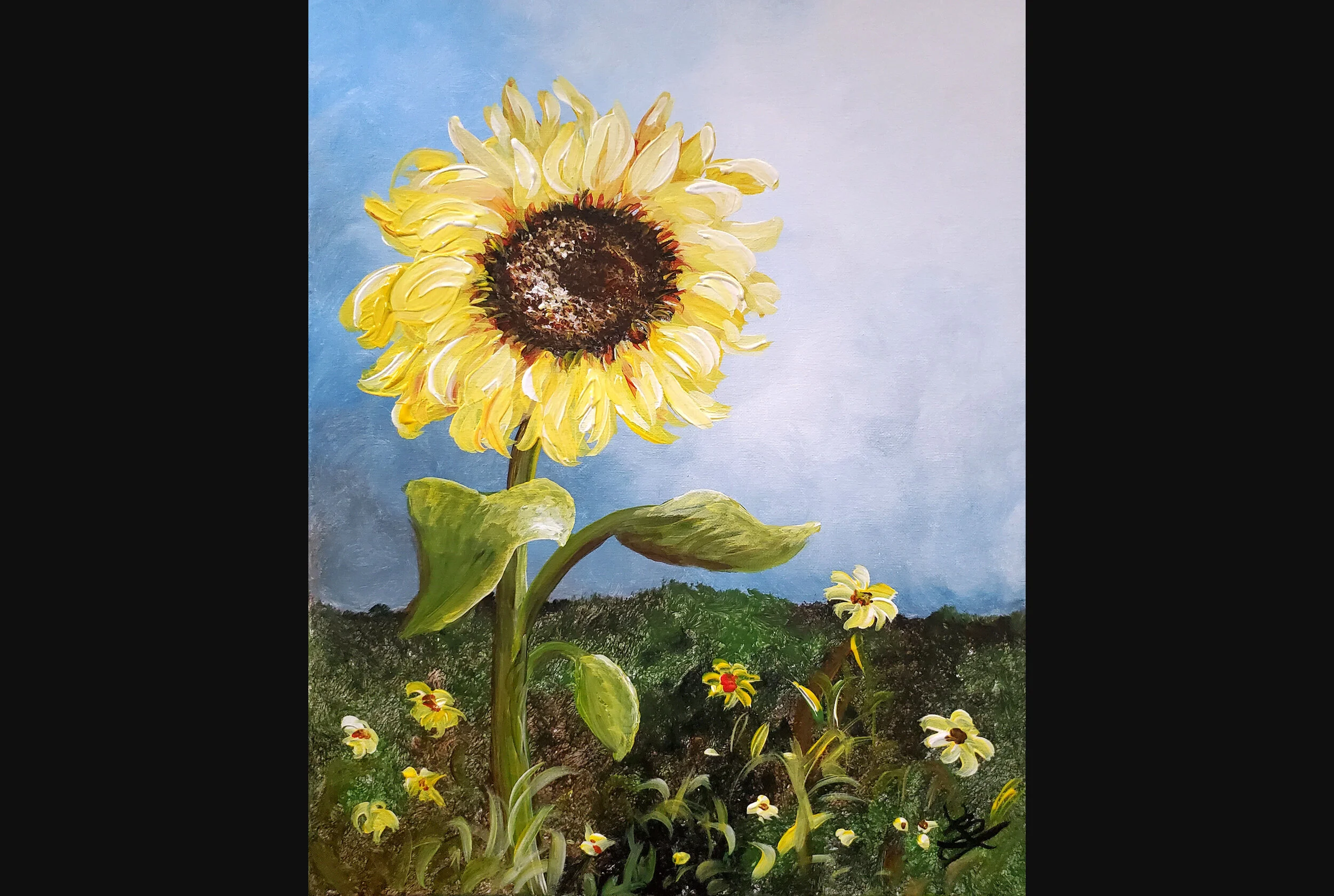 Sunflower Field