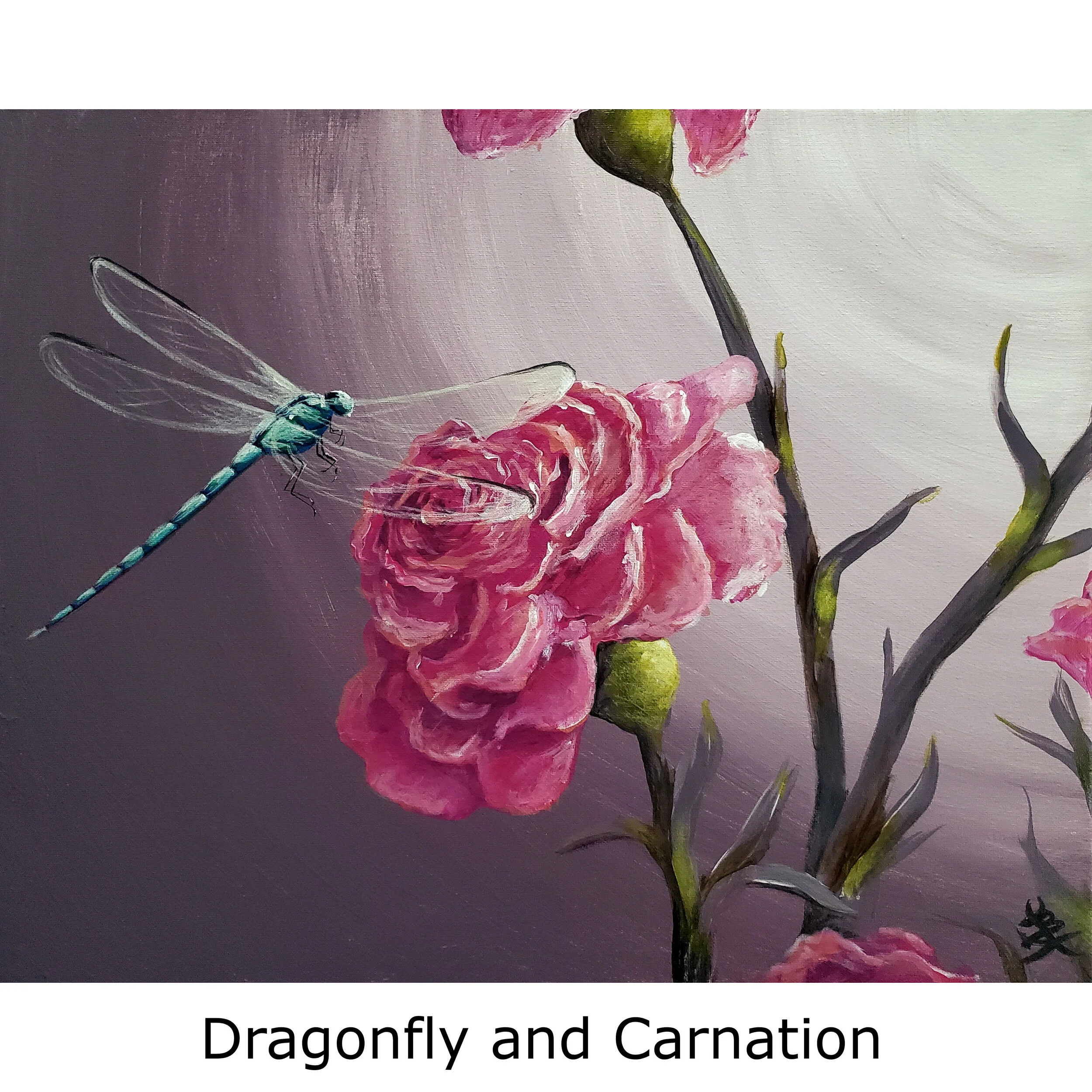 Dragonfly and Carnation2.jpg