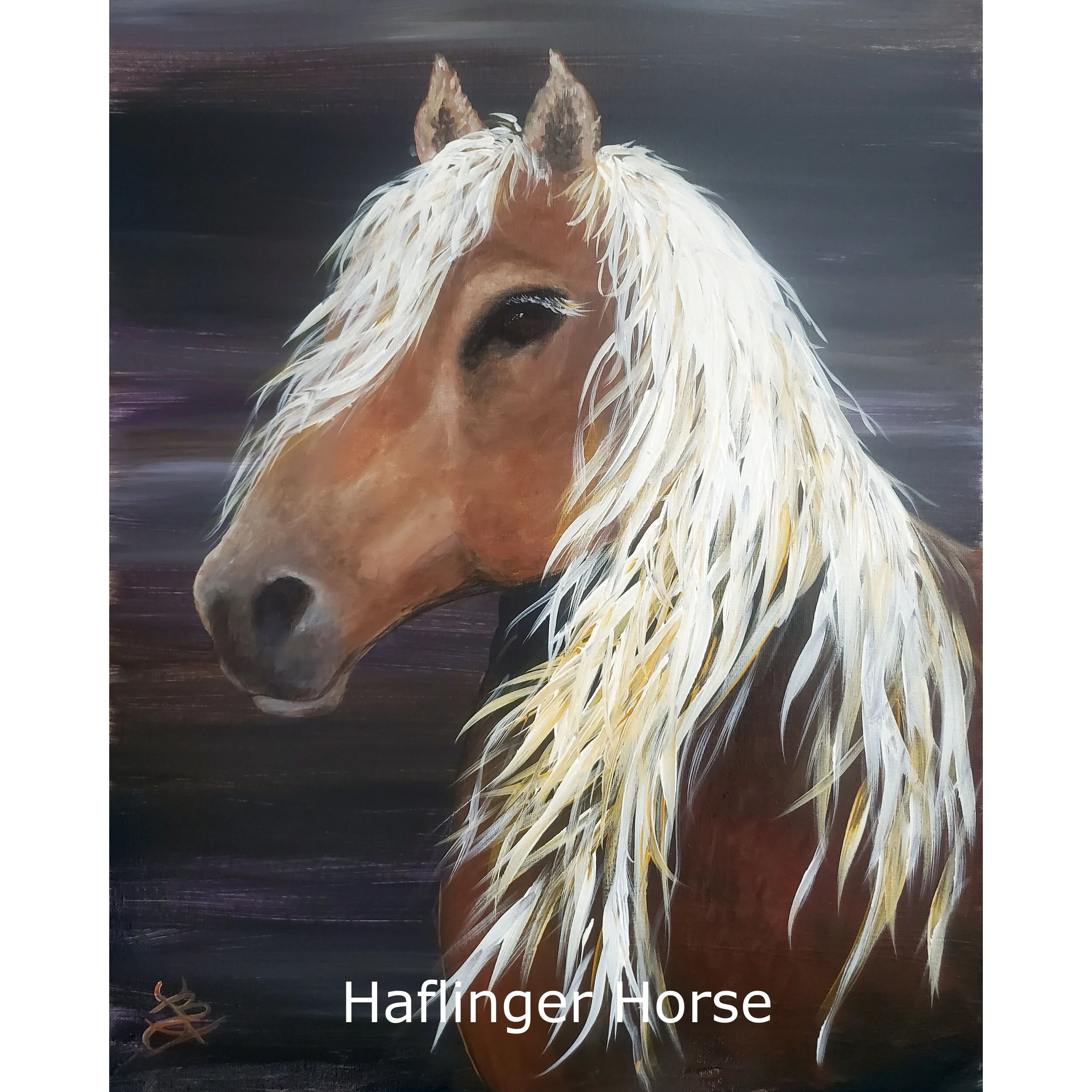 HaflingerHorse2.jpg