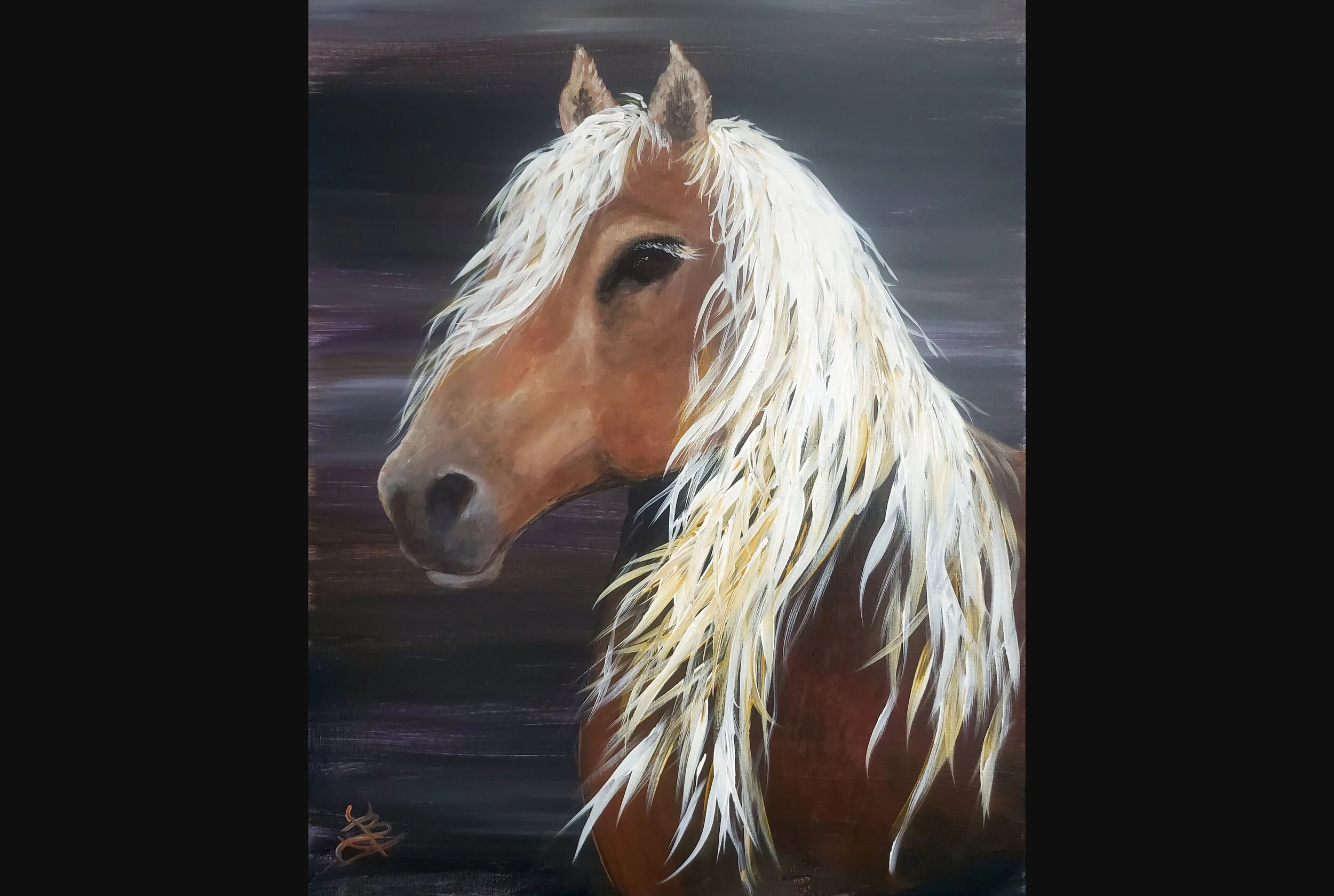 Haflinger Horse