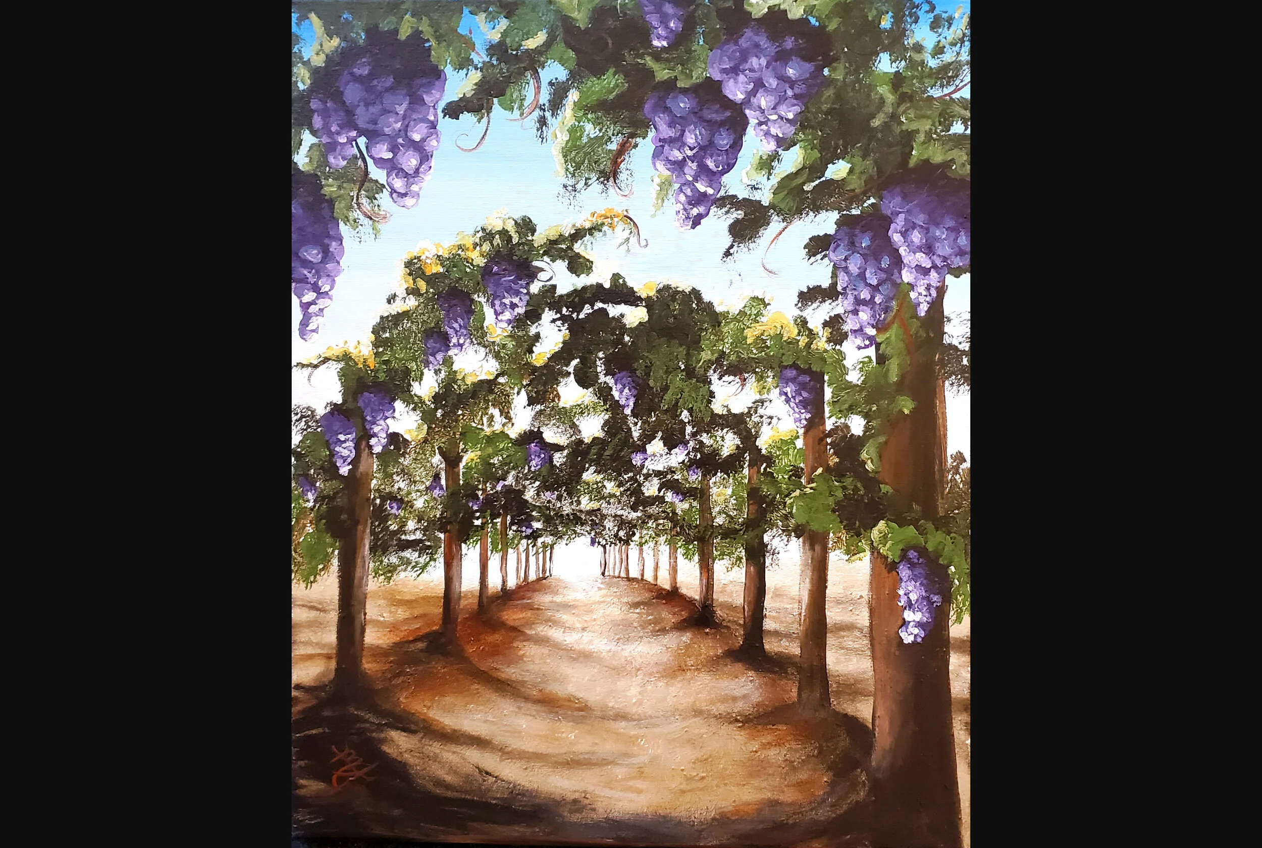 Vineyard Alleyway