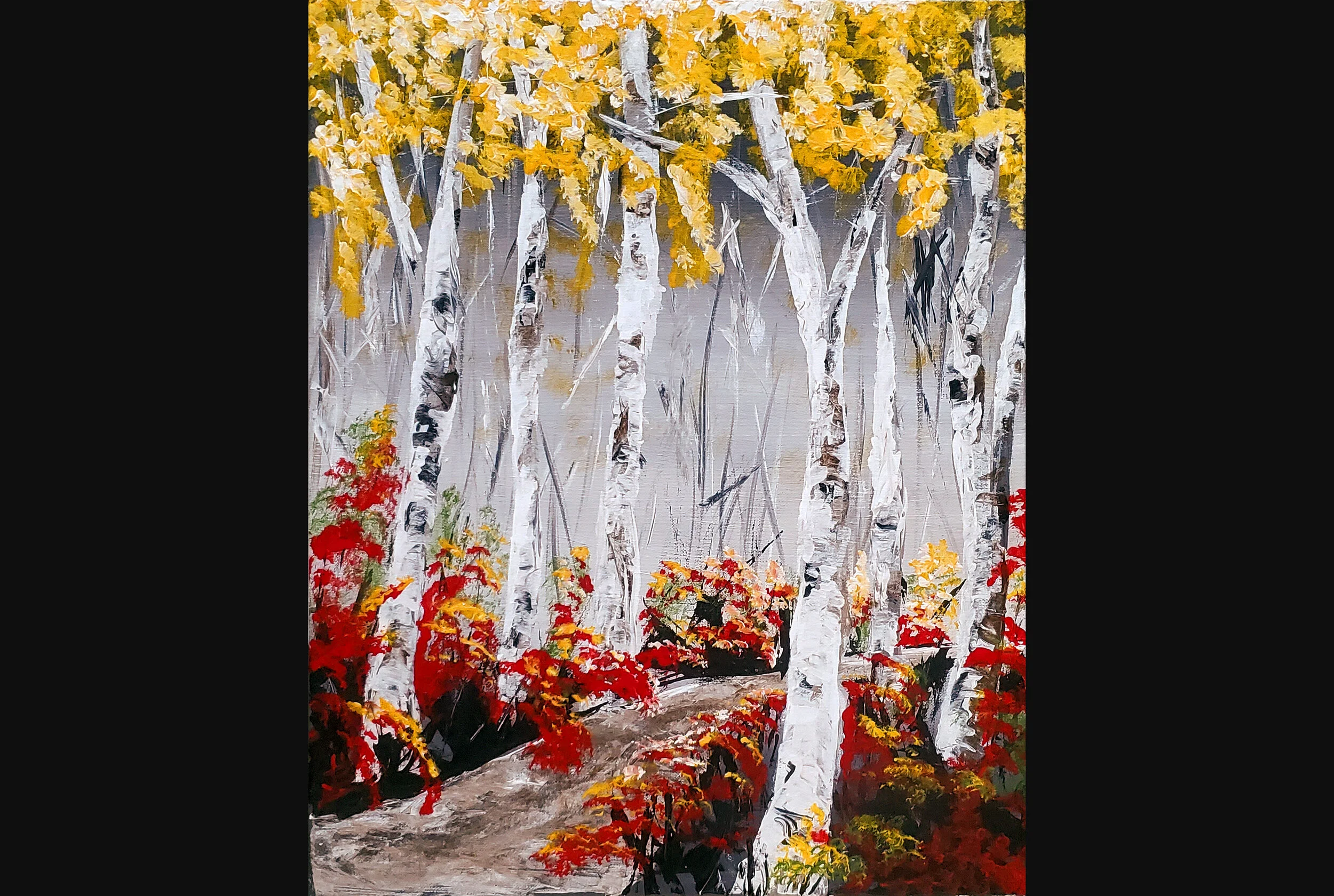 Fall Birch Trees