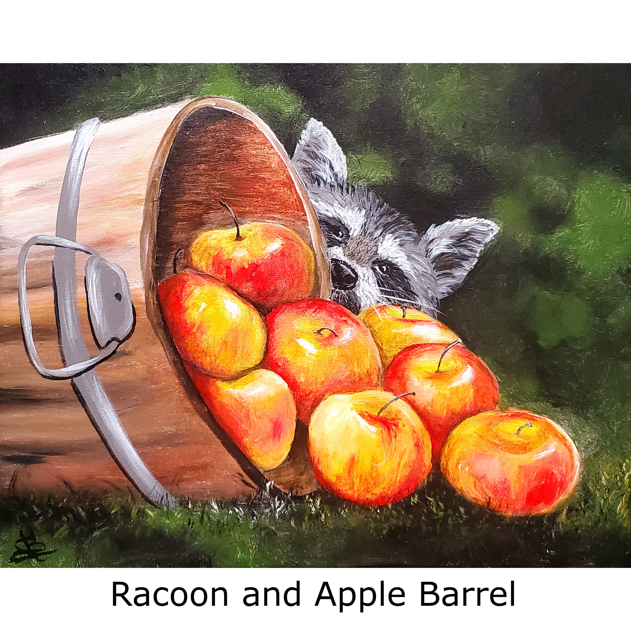 Racoon and Apple Barrel2.jpg