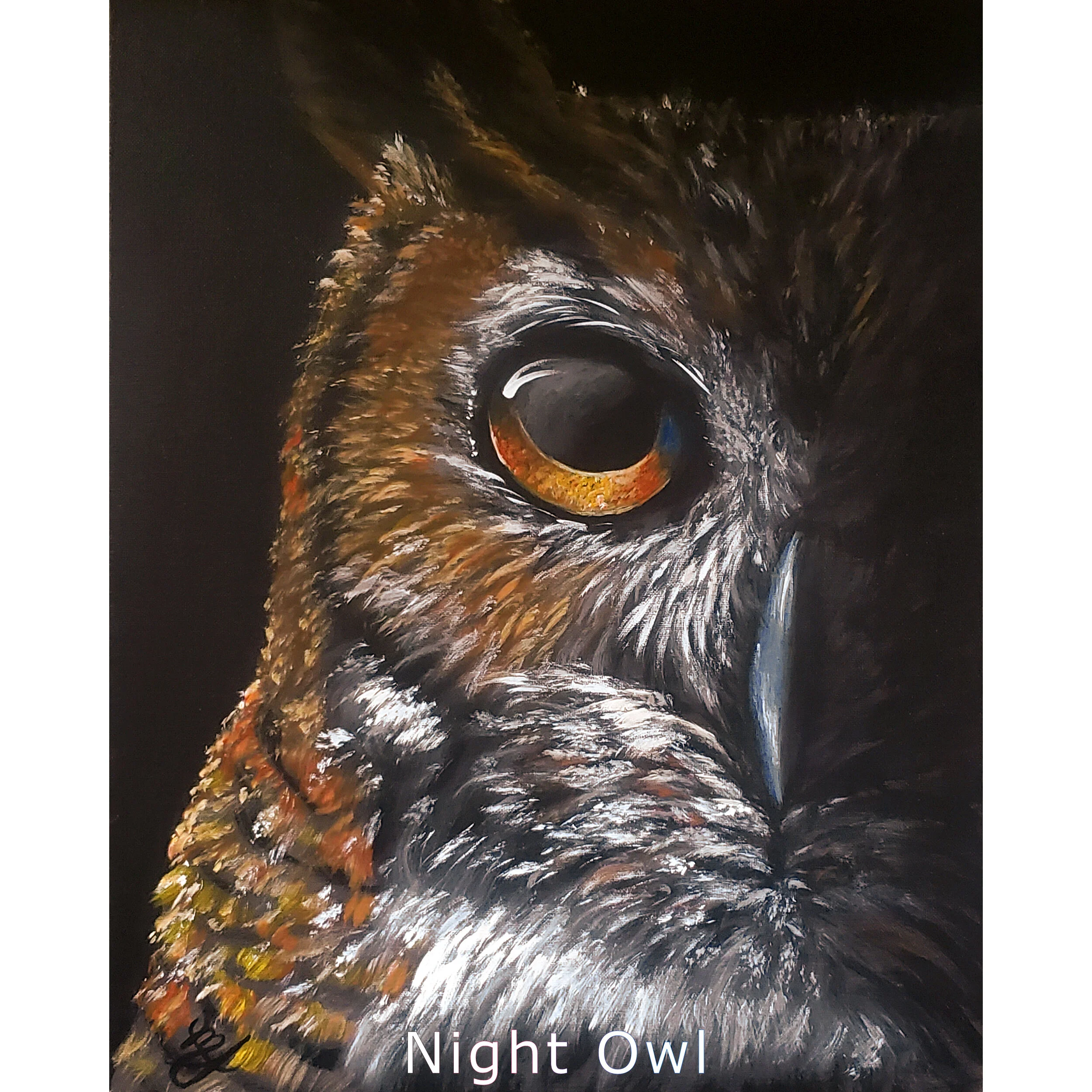 Night Owl2.jpg