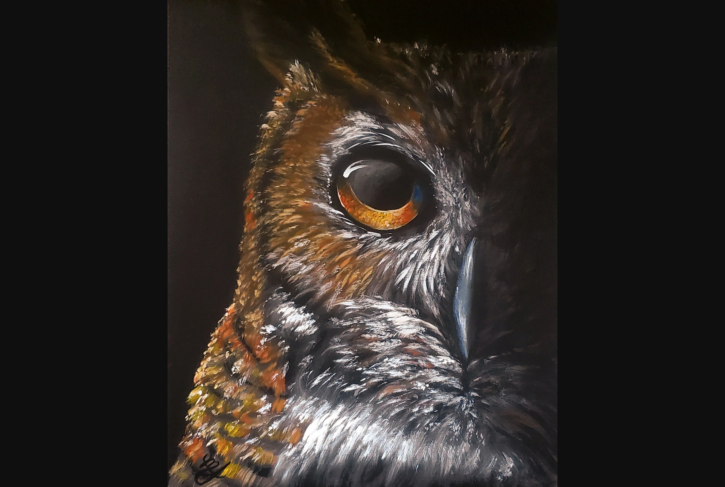 Night Owl