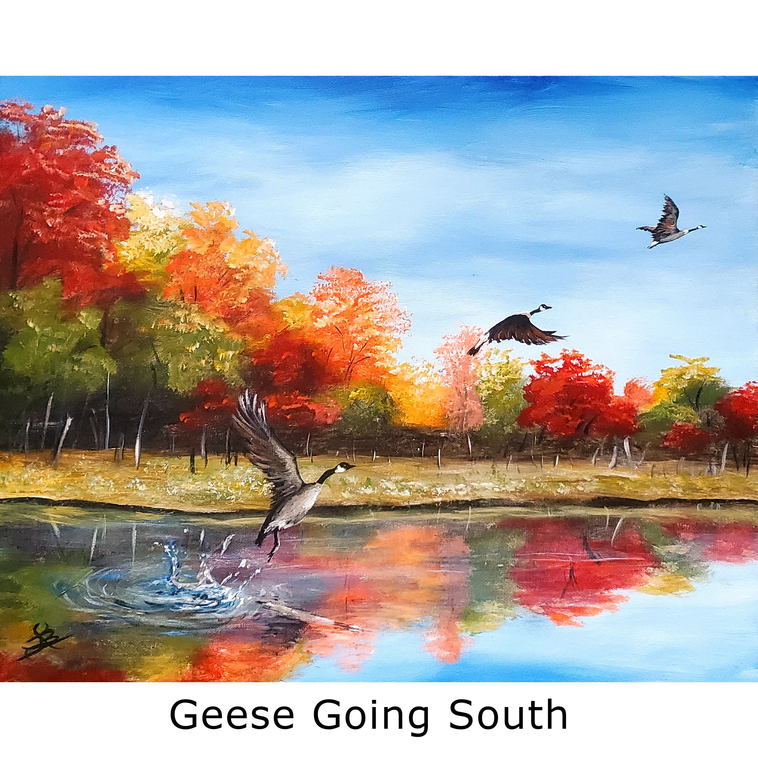 Geese Going South2.jpg