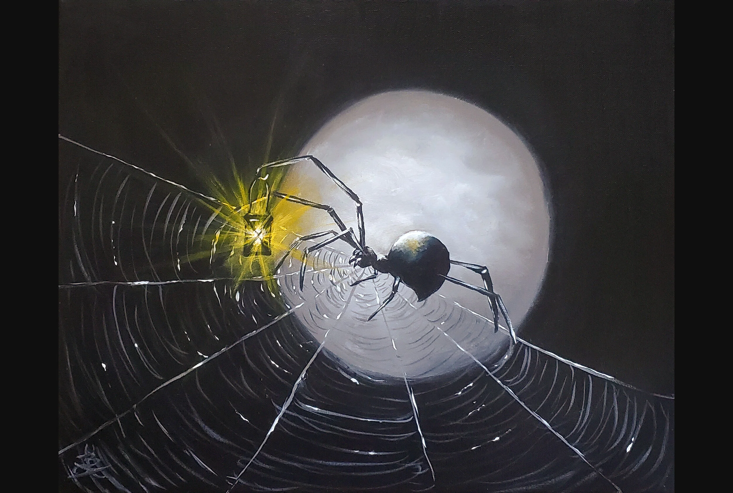 Lantern Lit Spider