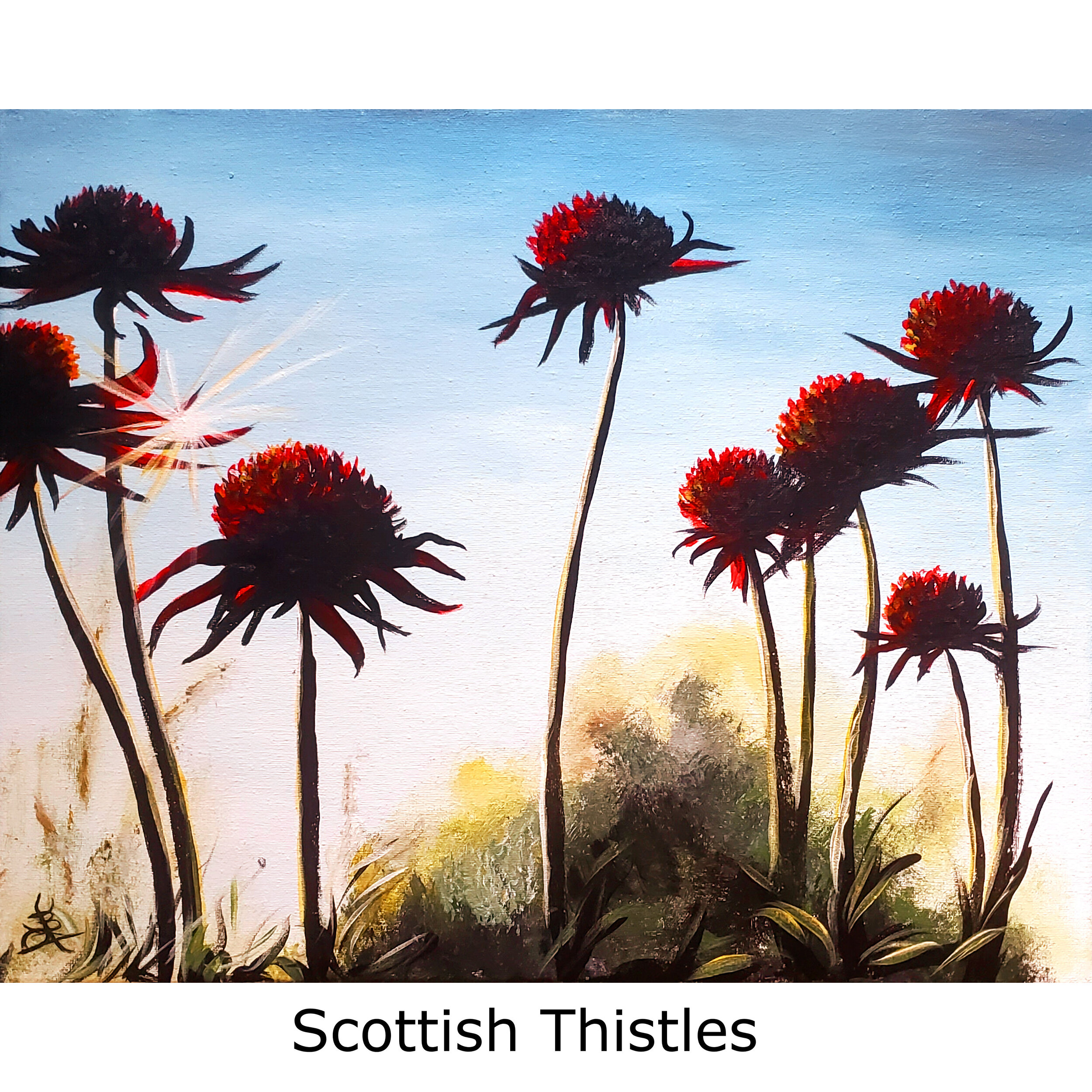 Scottish Thistles-2.jpg
