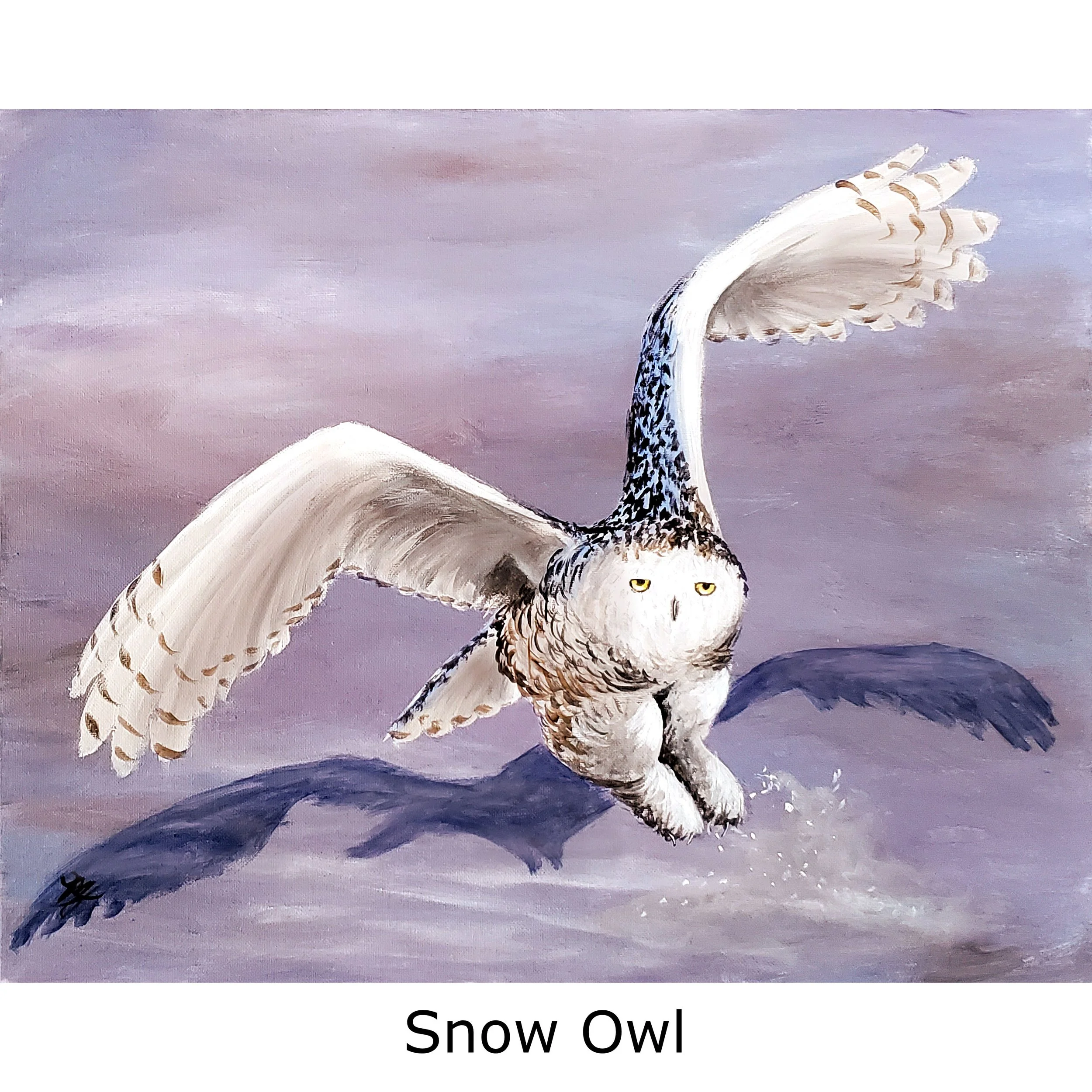 Snow Owl-2.jpg