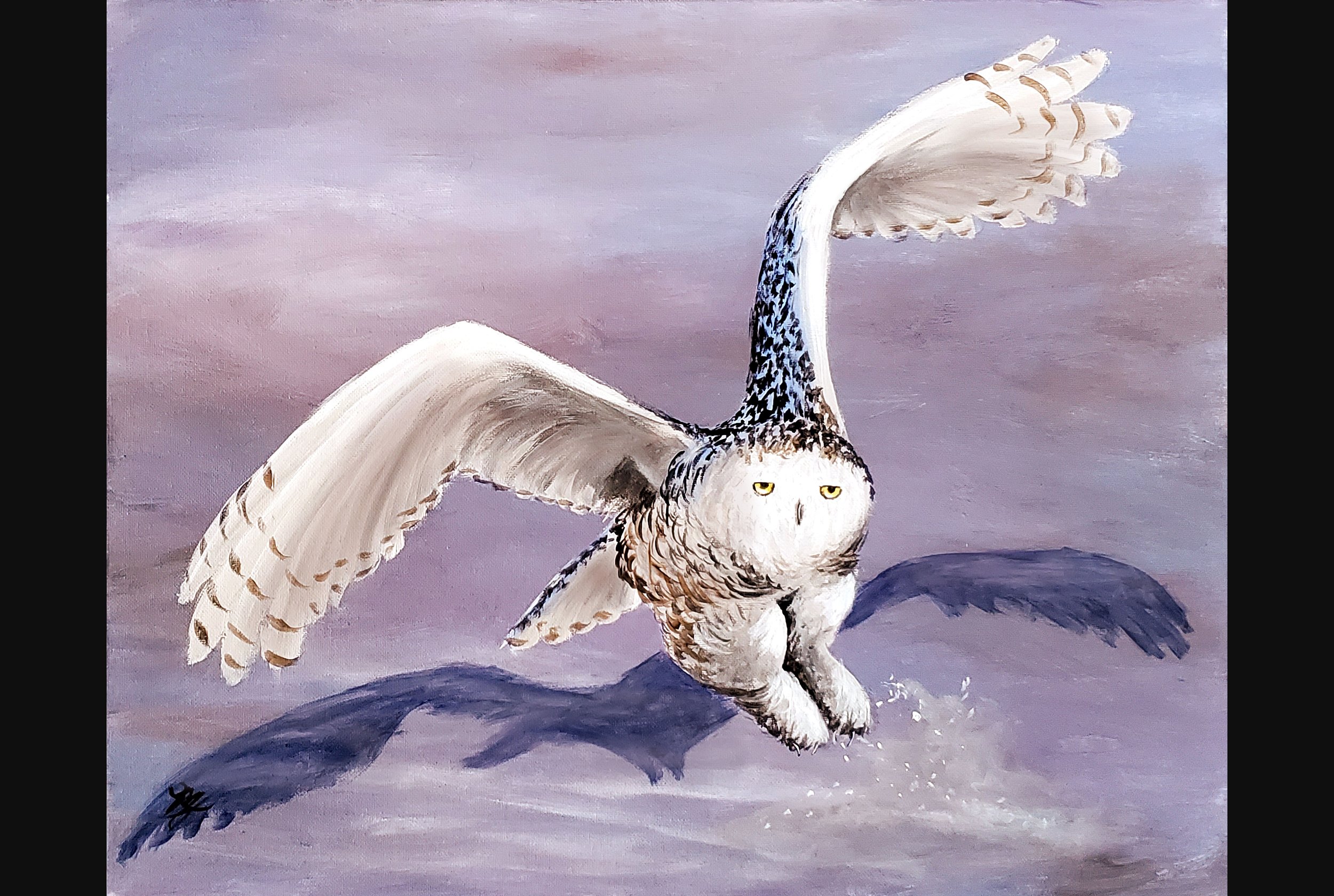 Snow Owl