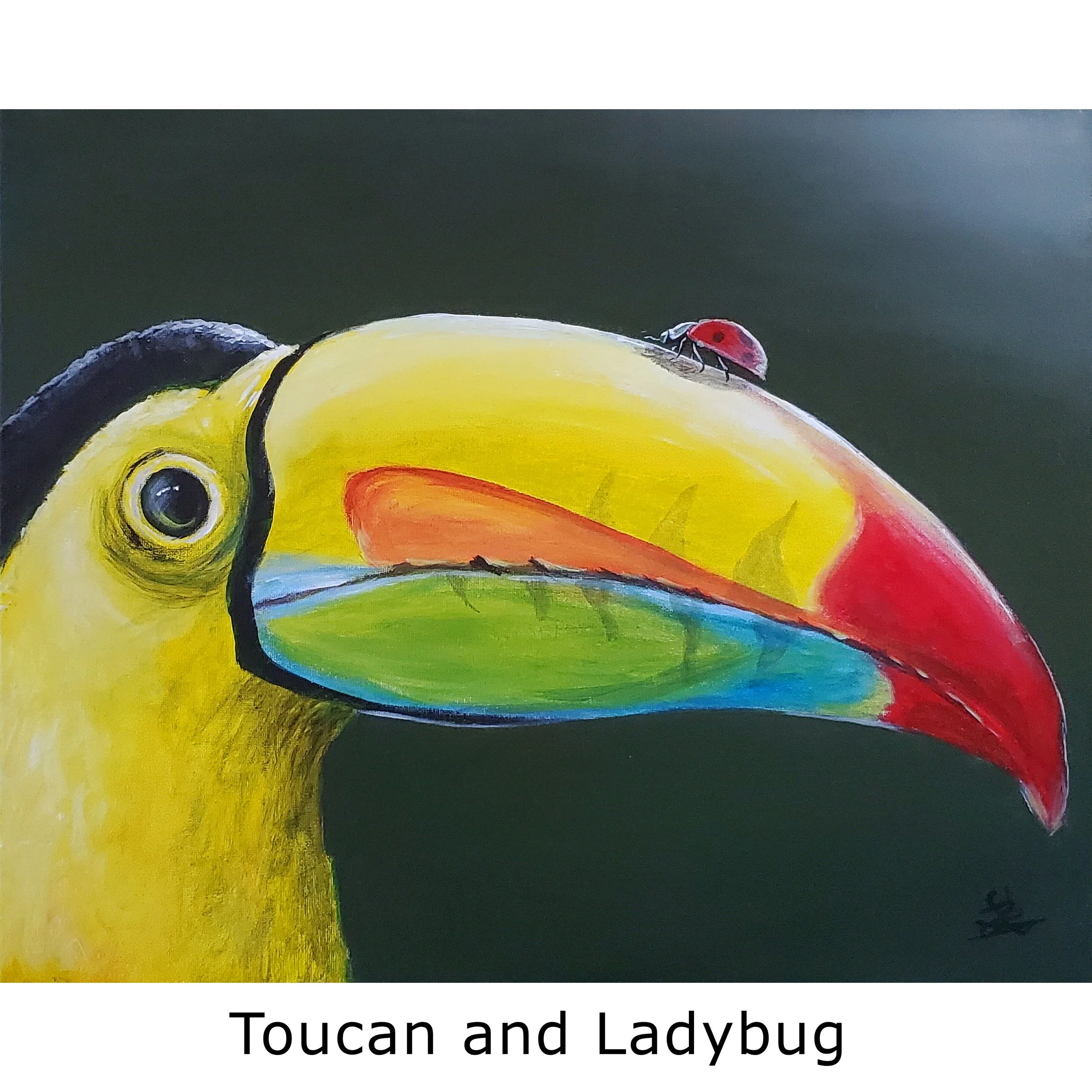 Toucan and Ladybug2.jpg