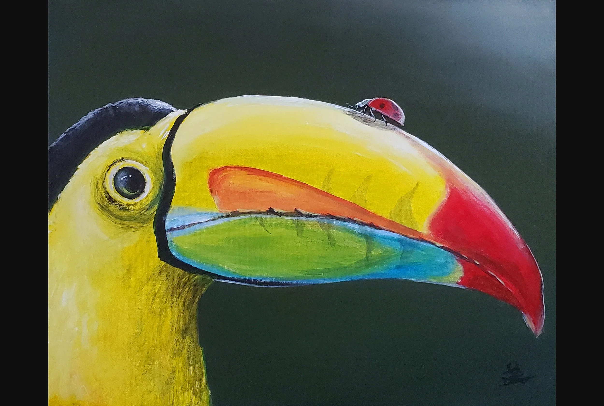 Toucan and Ladybug