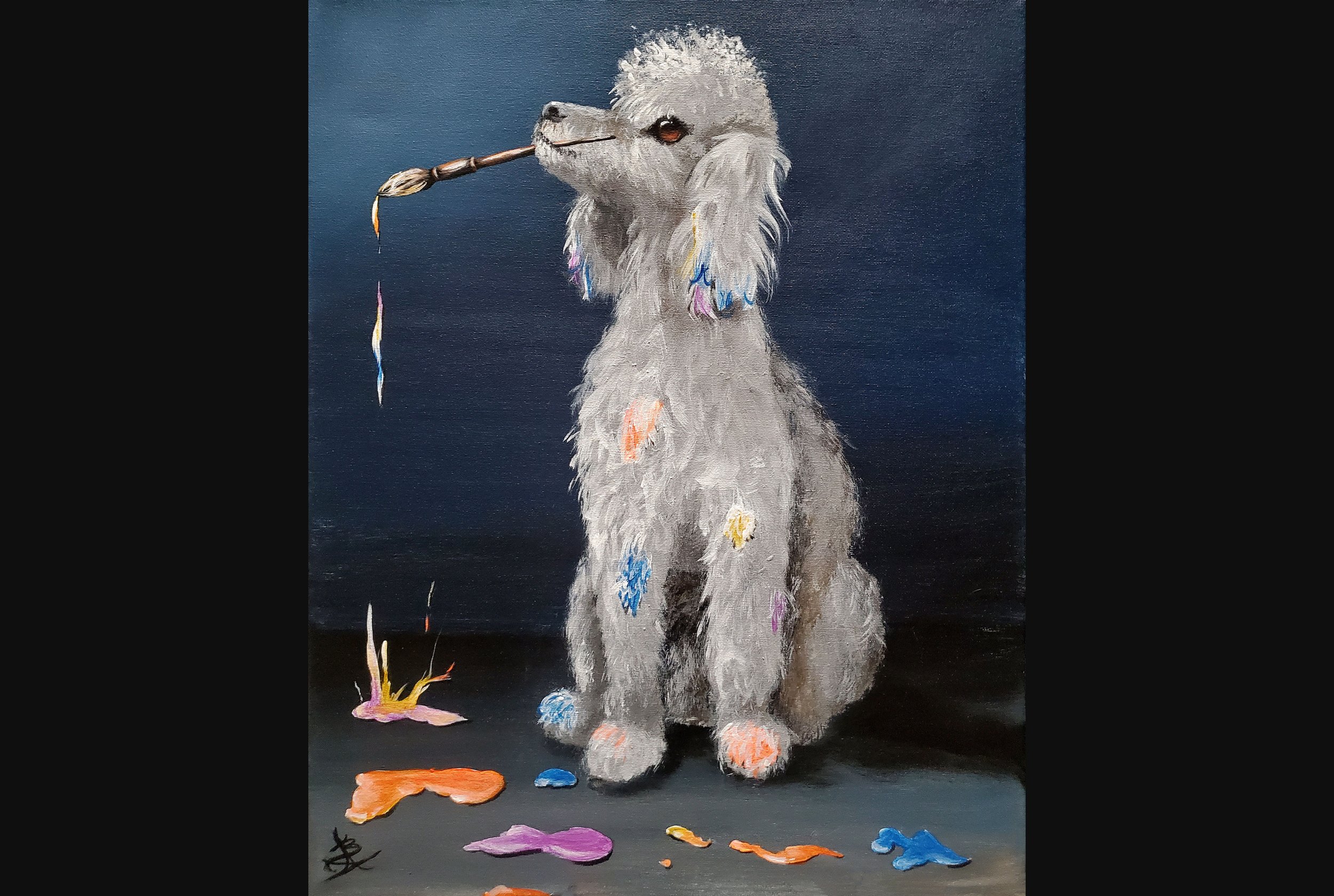 Animals - Dogs and Cats