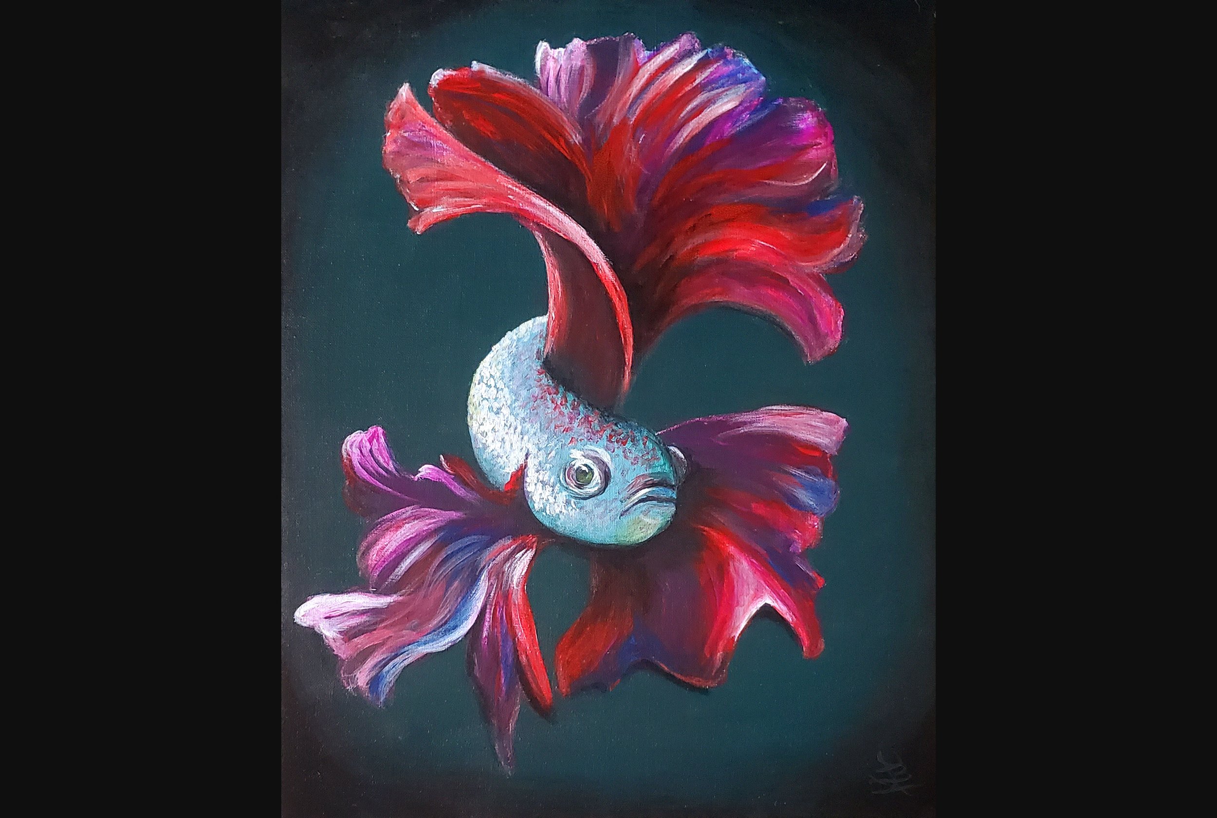 Betta Fish