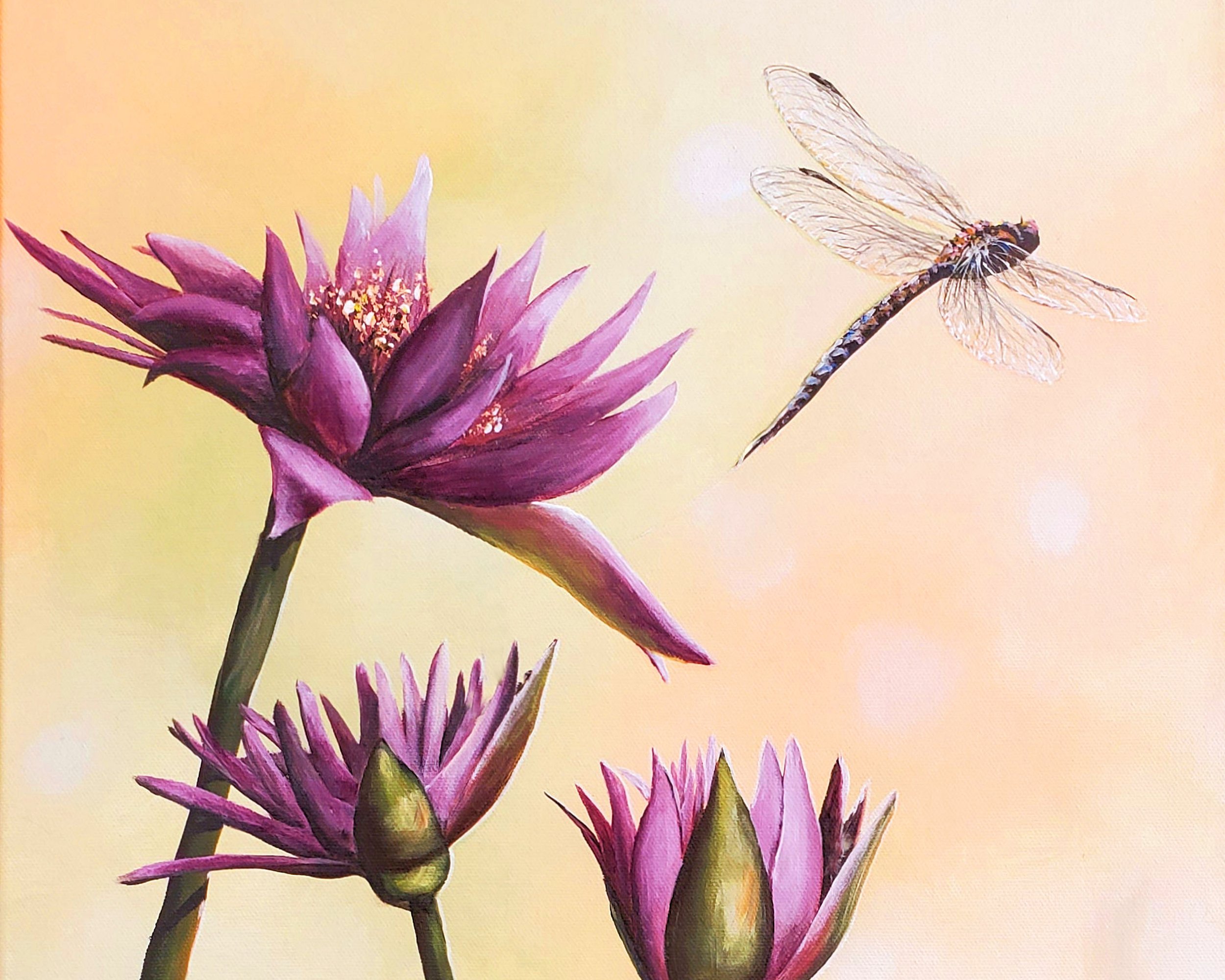 Purple Flowers and Dragonfly