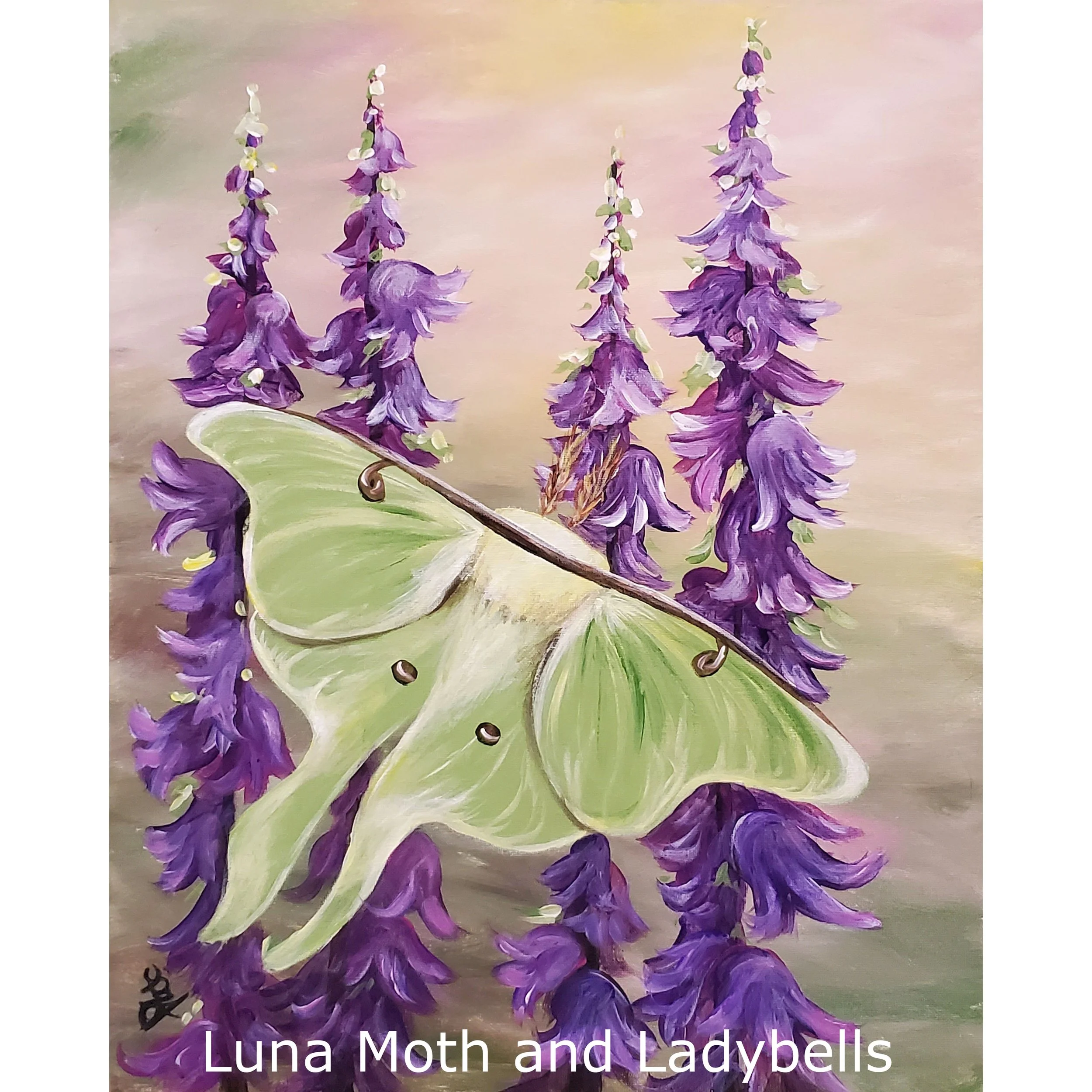 Luna Moth and Ladybells-2.jpg