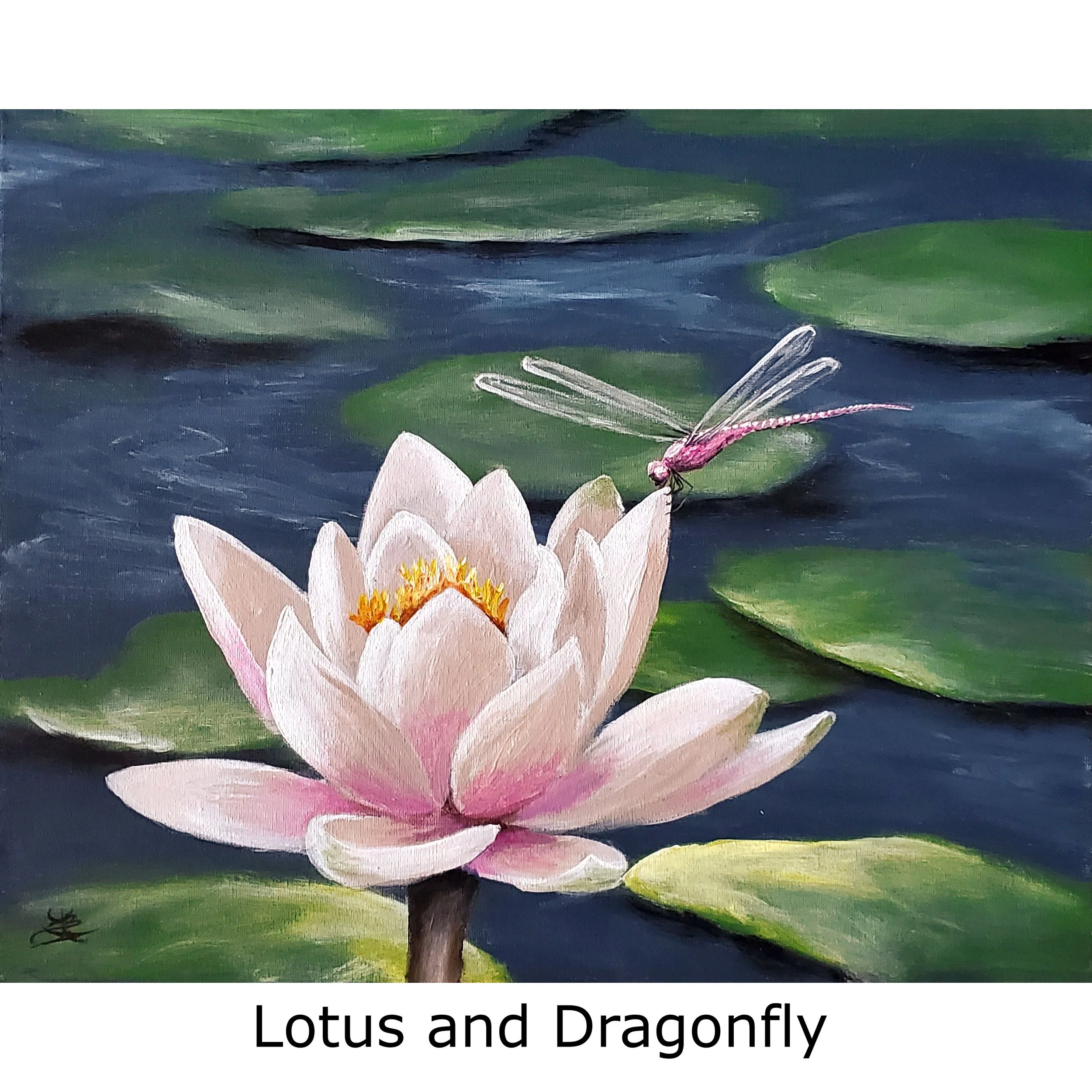 Lotus and Dragonfly2.jpg