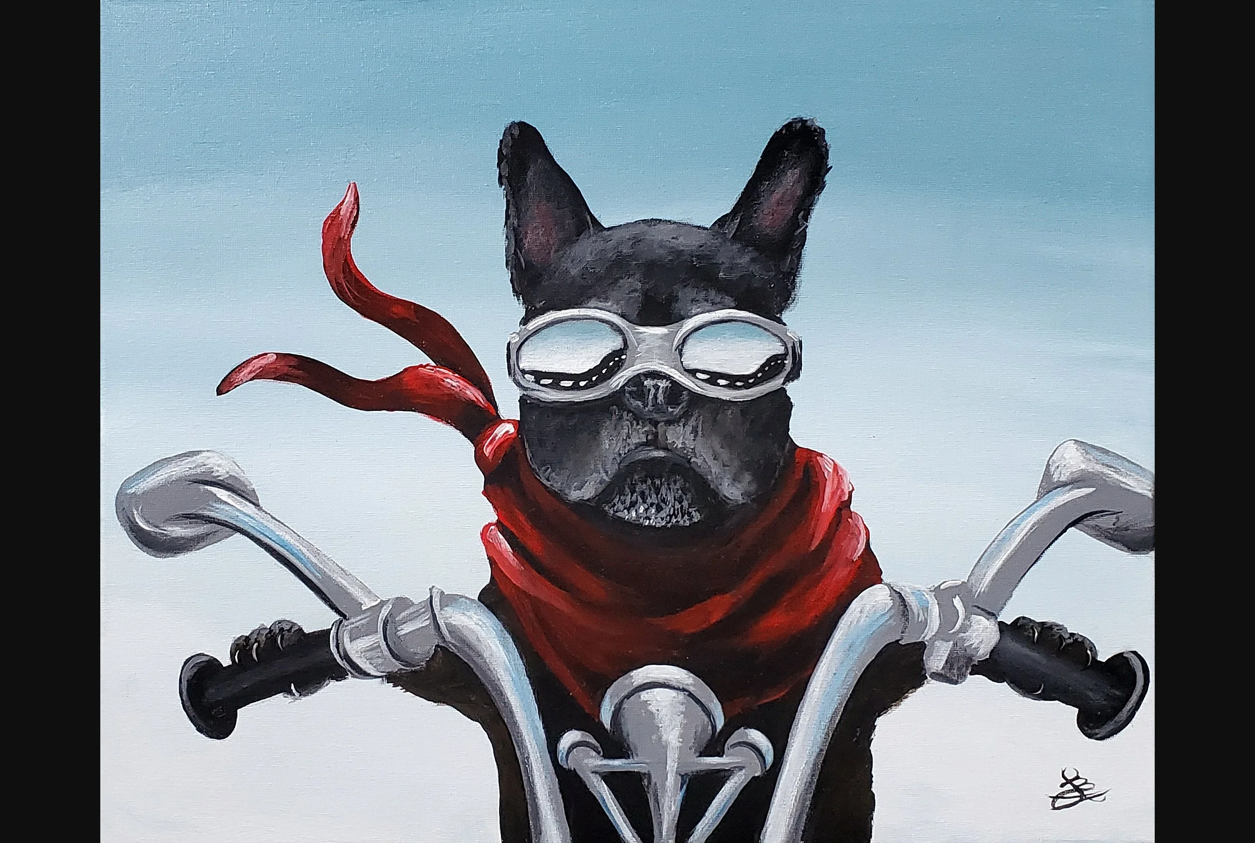 Cruising Canine