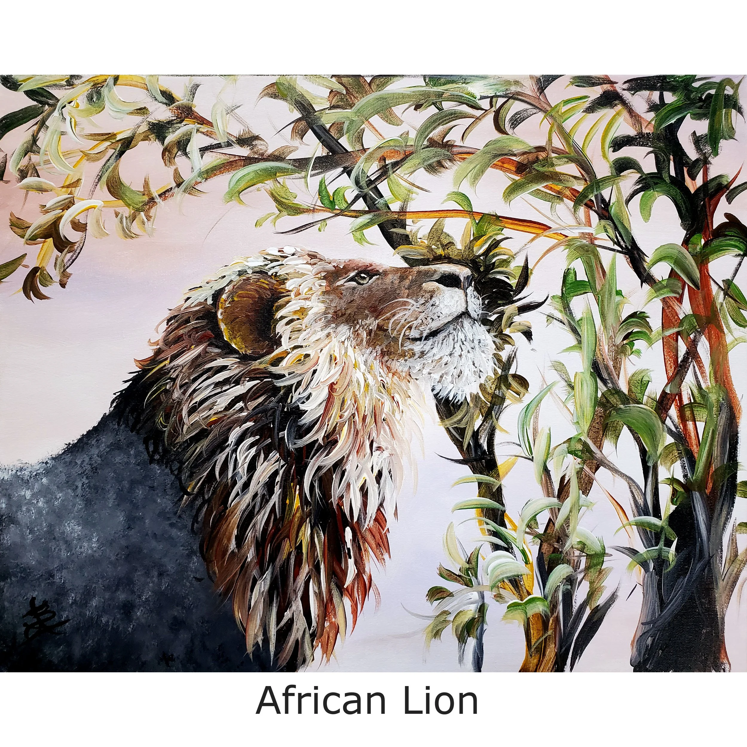 AfricanLion2.jpg