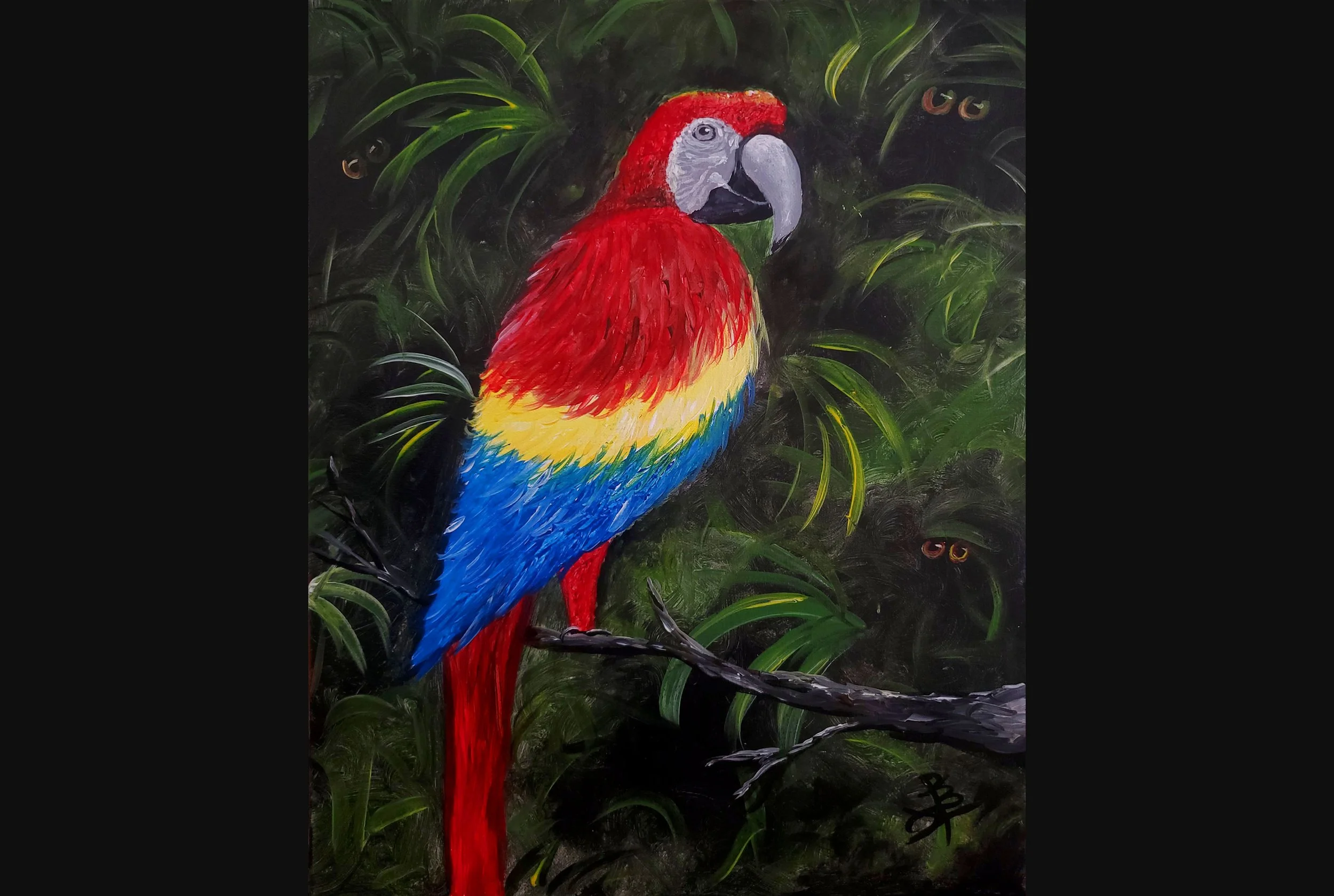 Peek a Boo Parrot