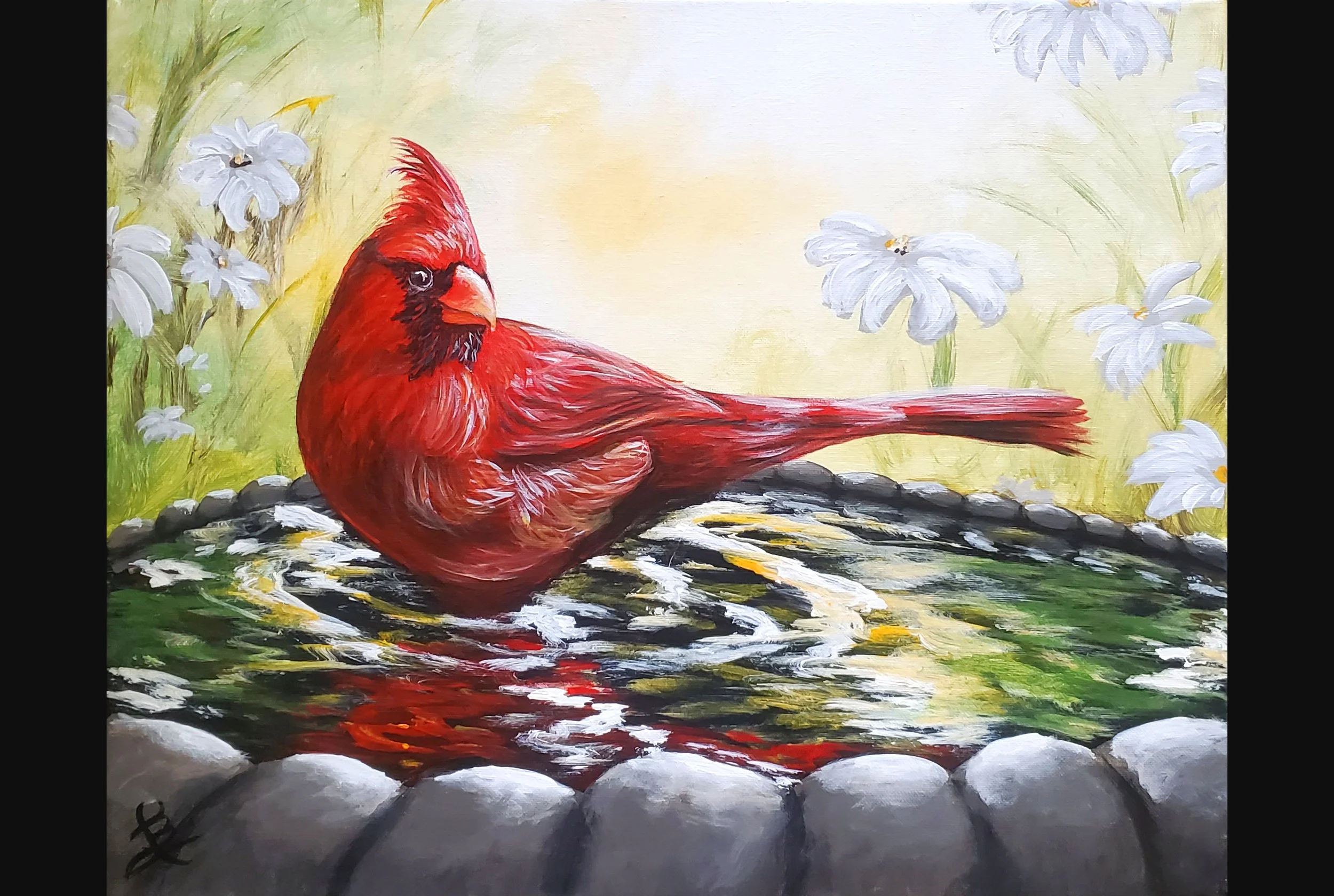 Cardinal Bird Bath