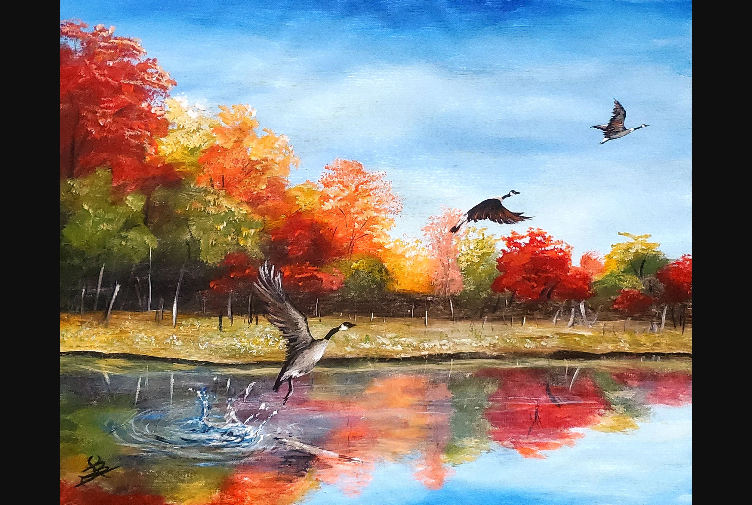 Geese Going South
