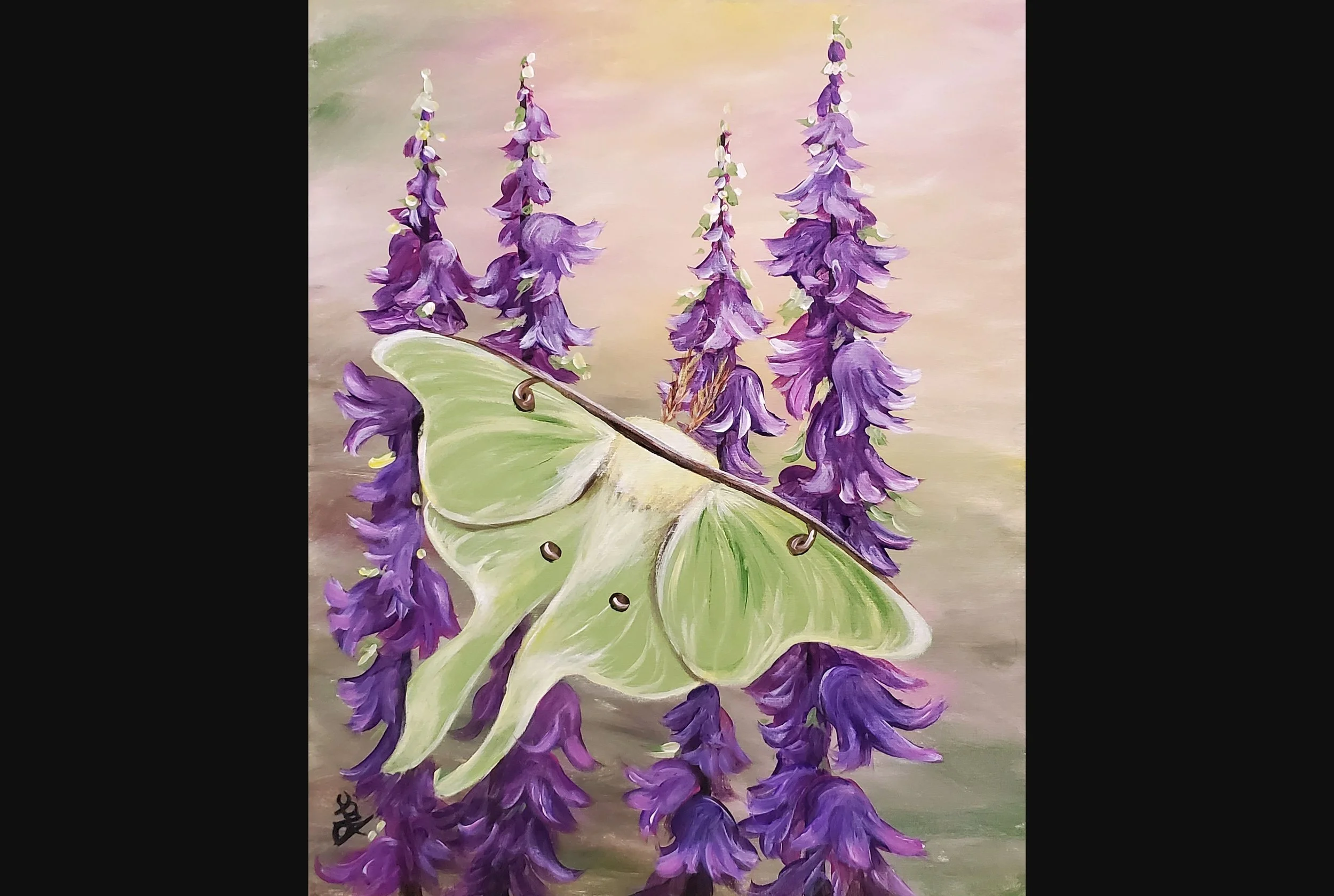 Luna Moth and Ladybell