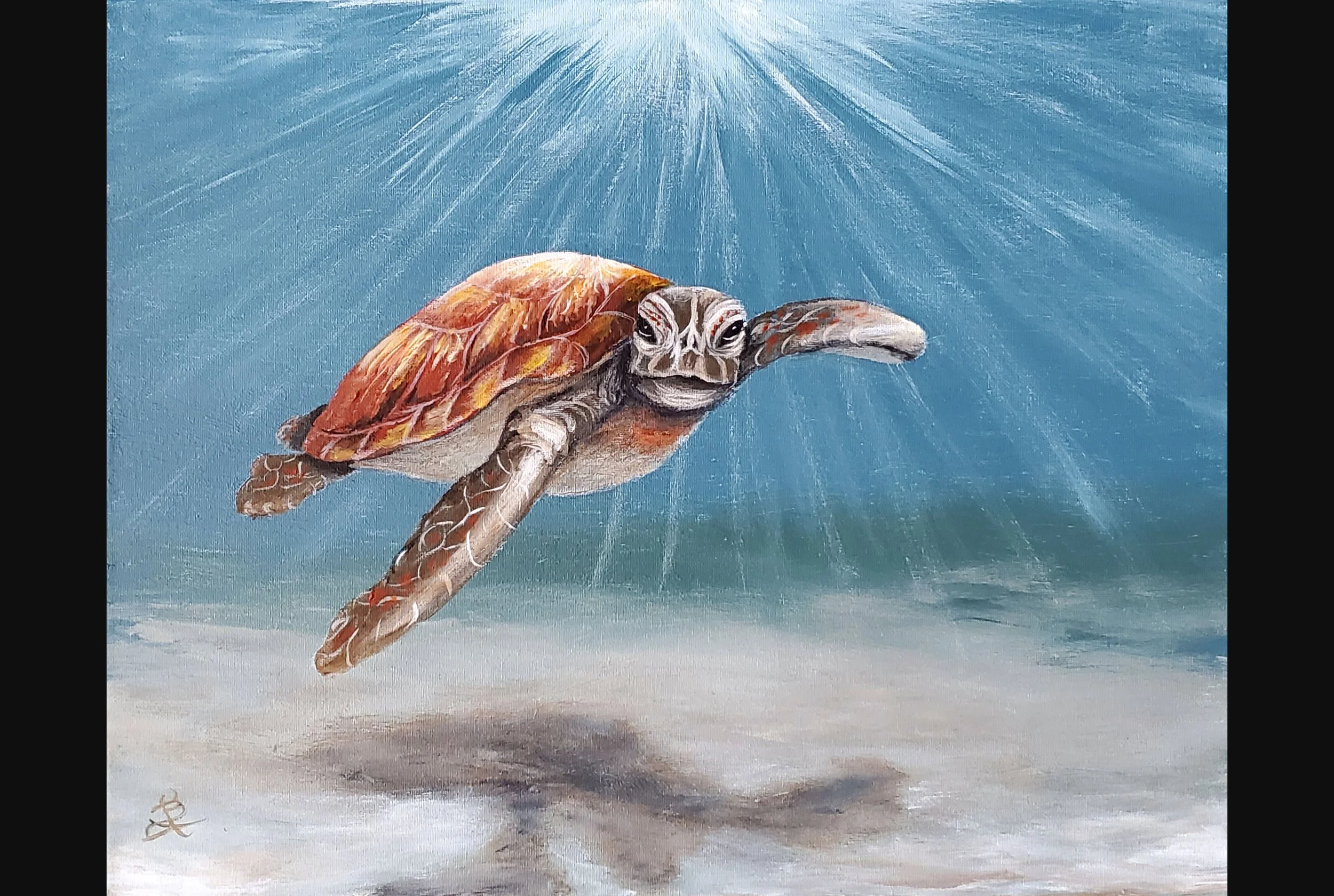 Tropical Turtle
