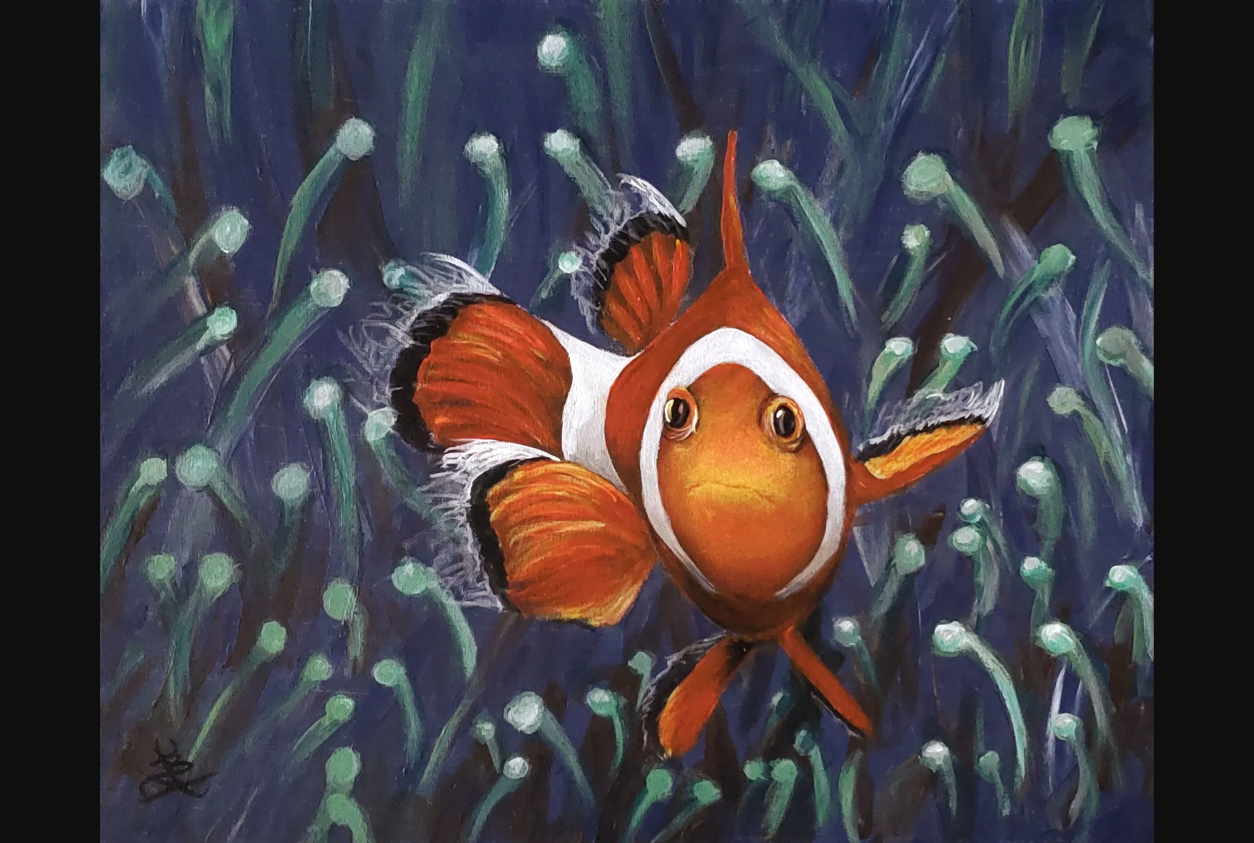 Curious Clownfish