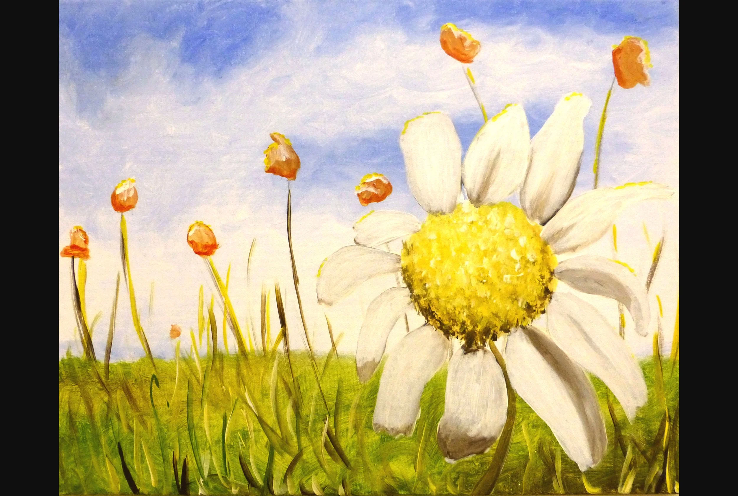 Dazzling Daisy