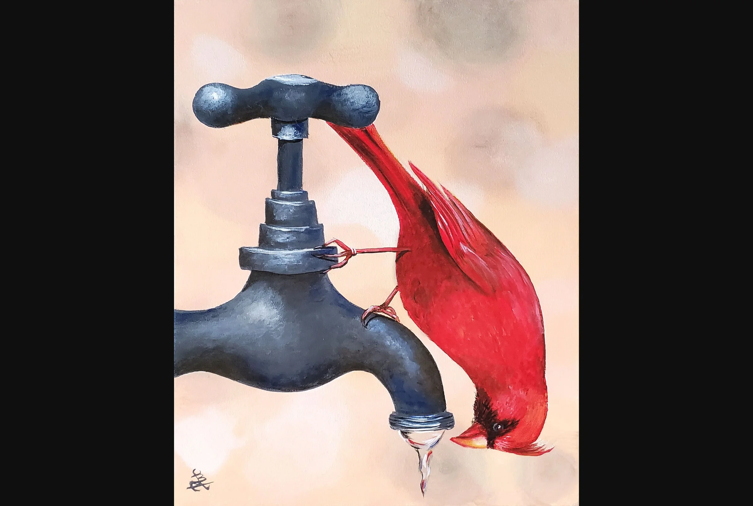 Thirsty Cardinal