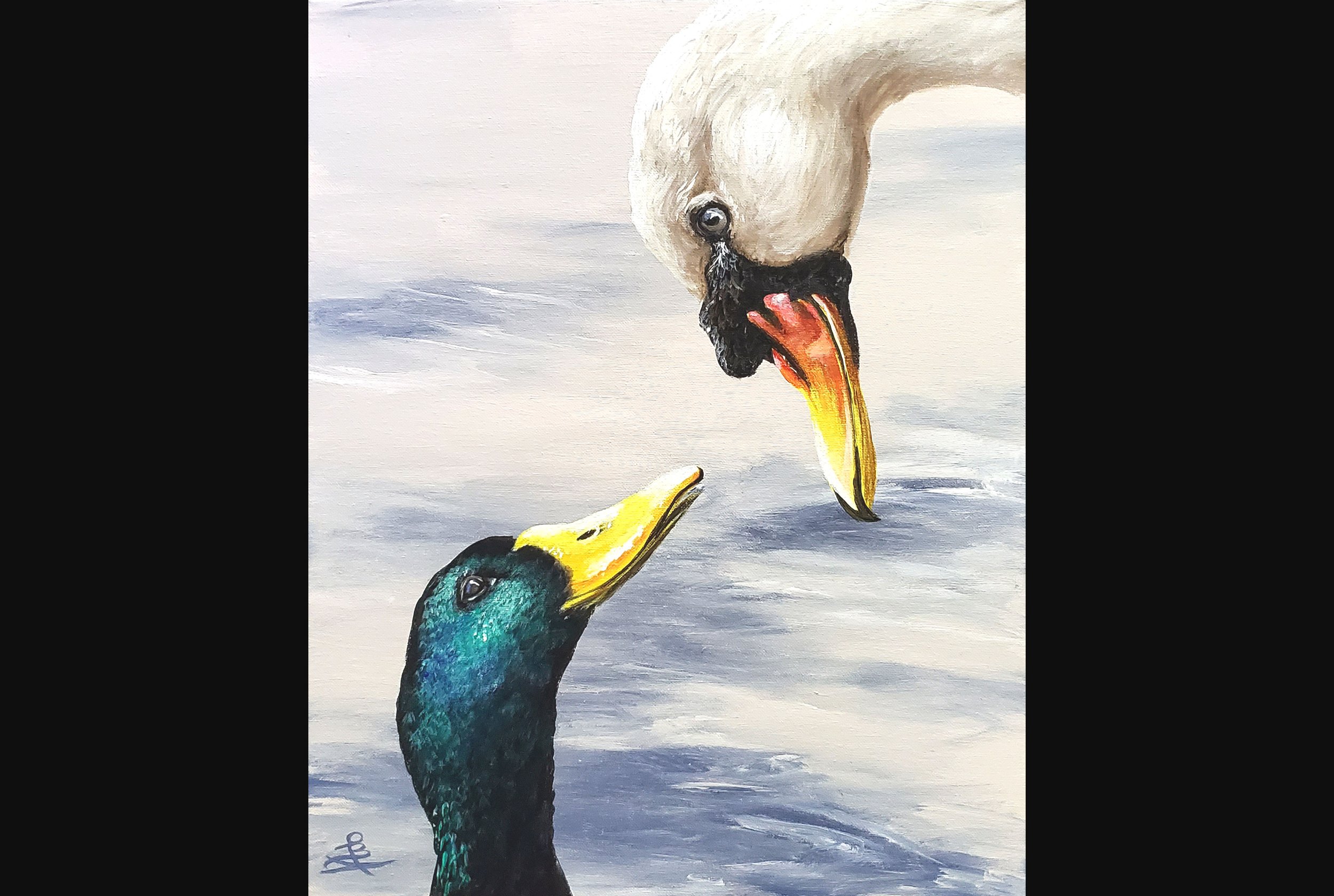 Swan Meets Duck