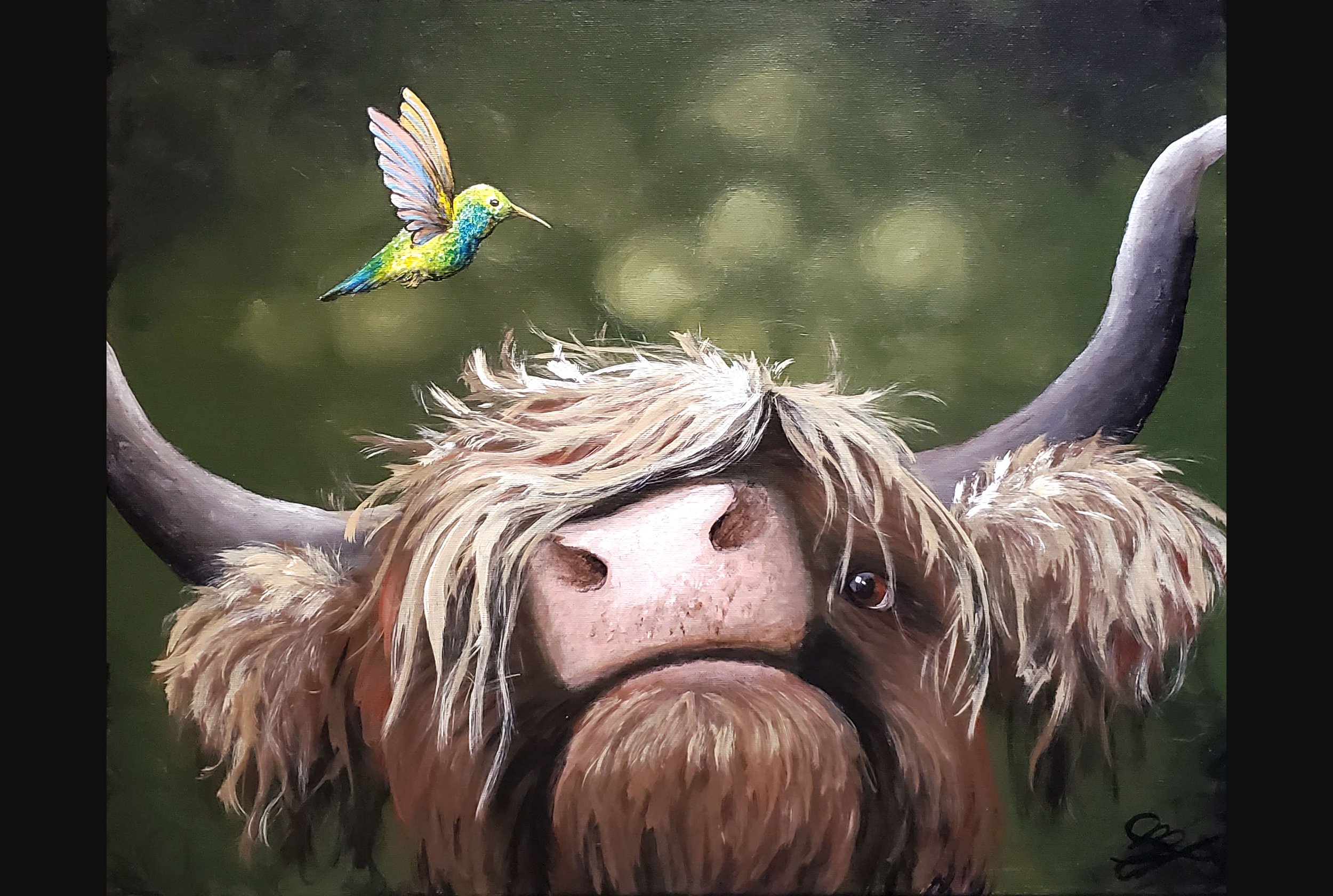 Hummingbird and Highland Cow