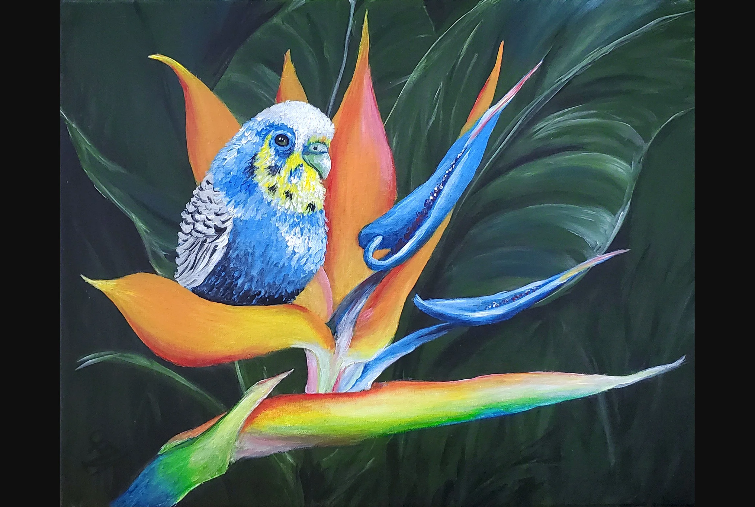 Two Birds of Paradise