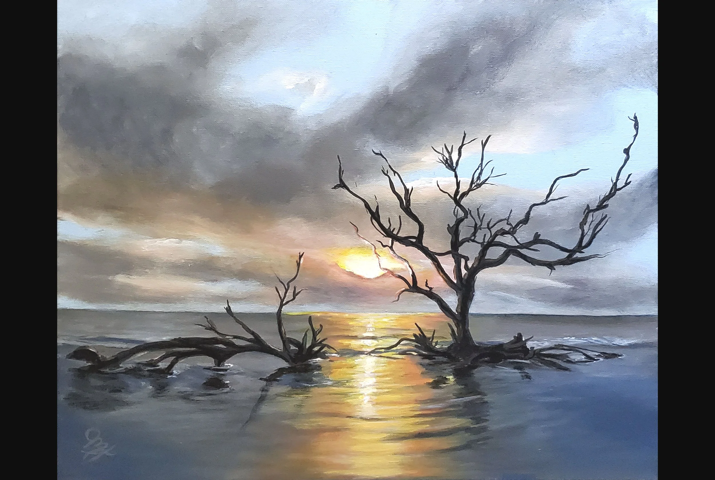 Driftwood Beach
