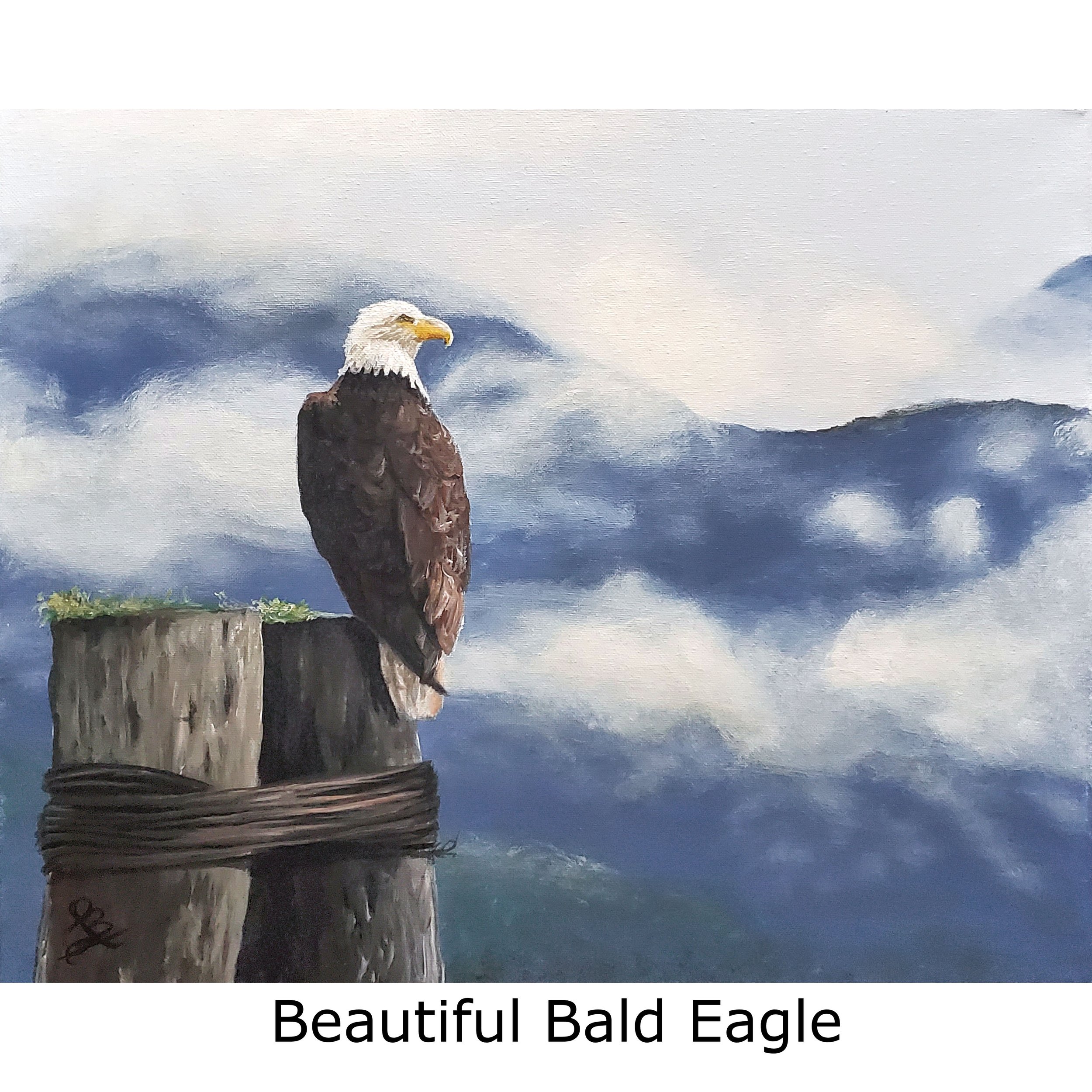 Beautiful Bald Eagle-2.jpg