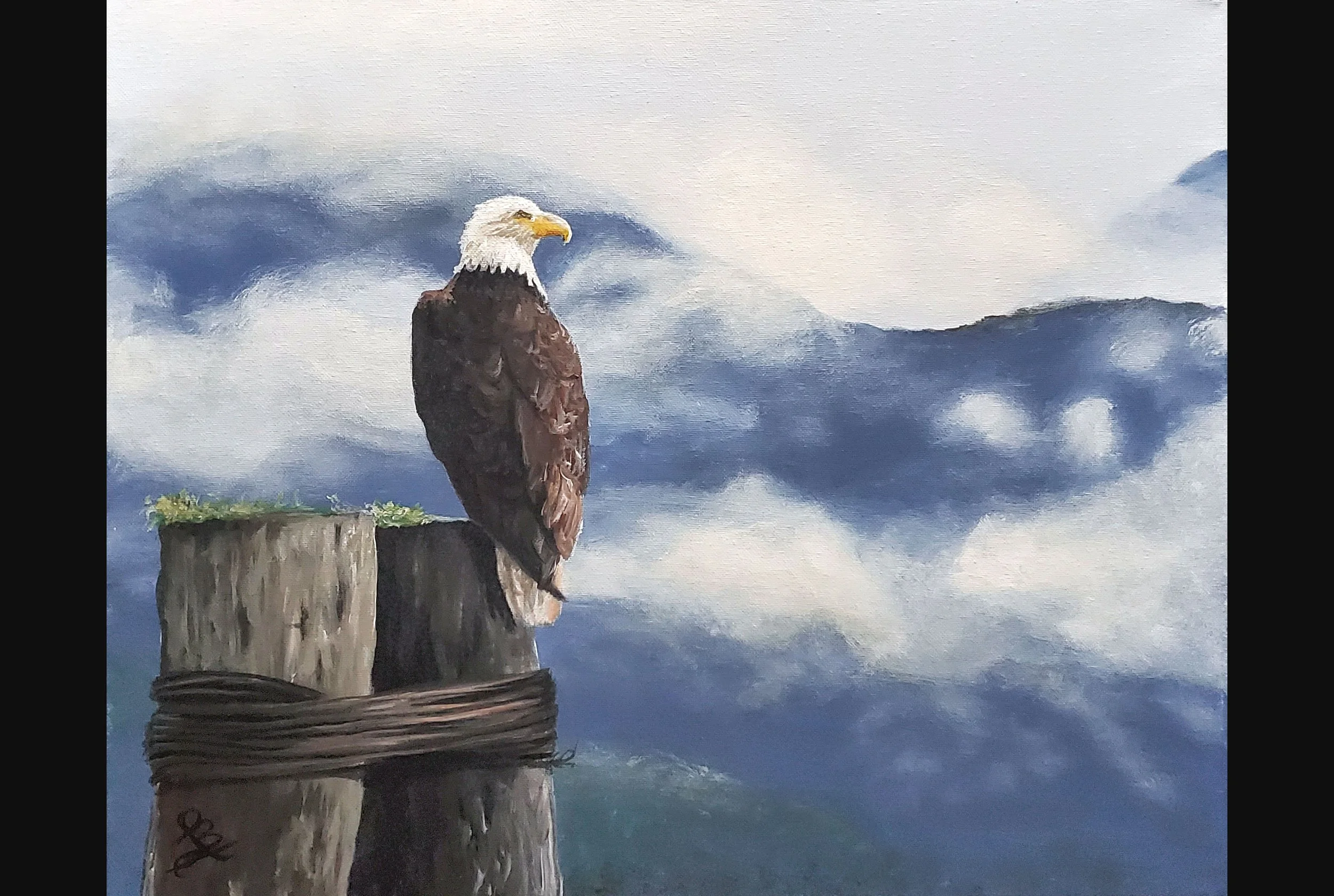 Beautiful Bald Eagle