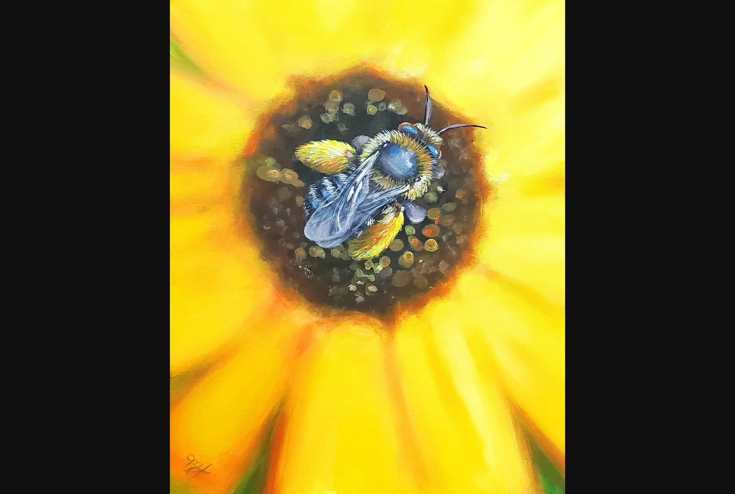 Sunflower Bee