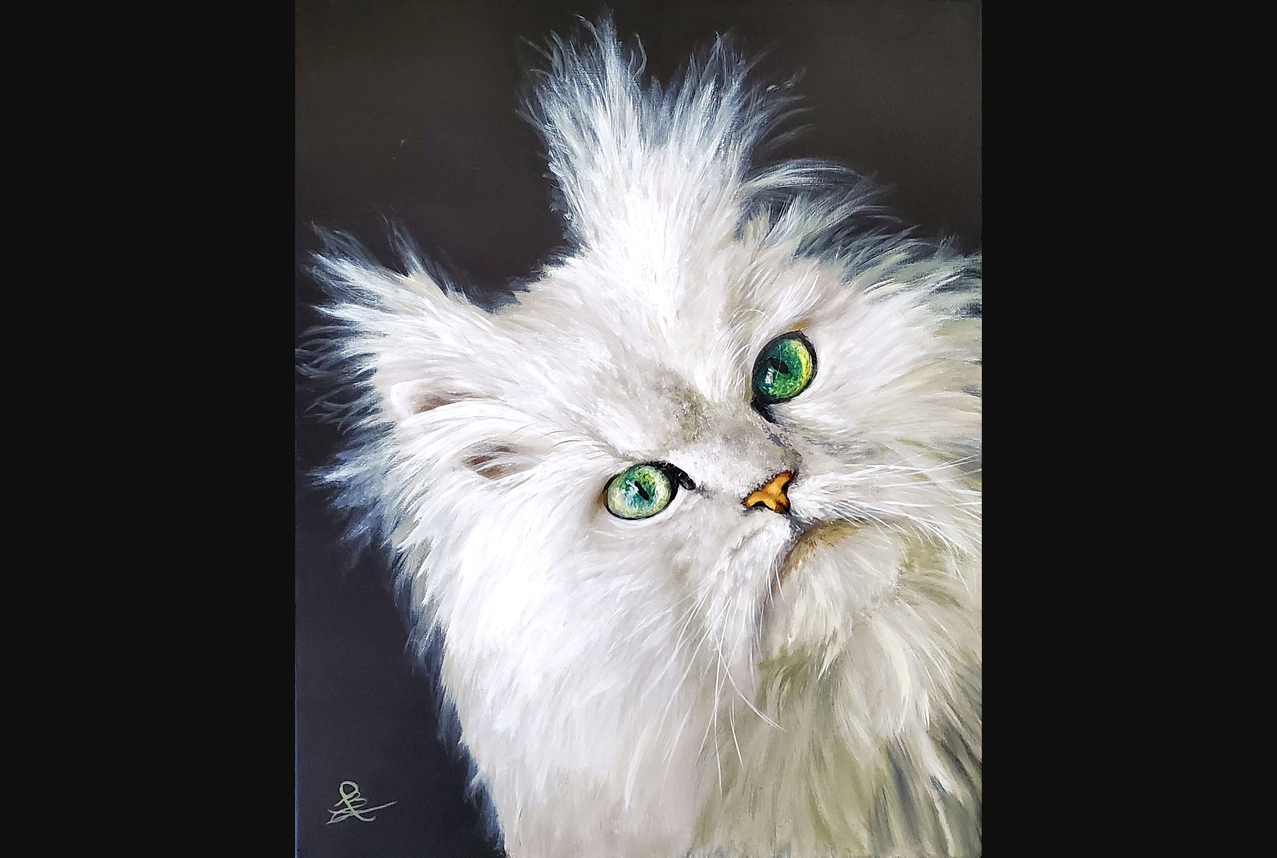 Cute Cat