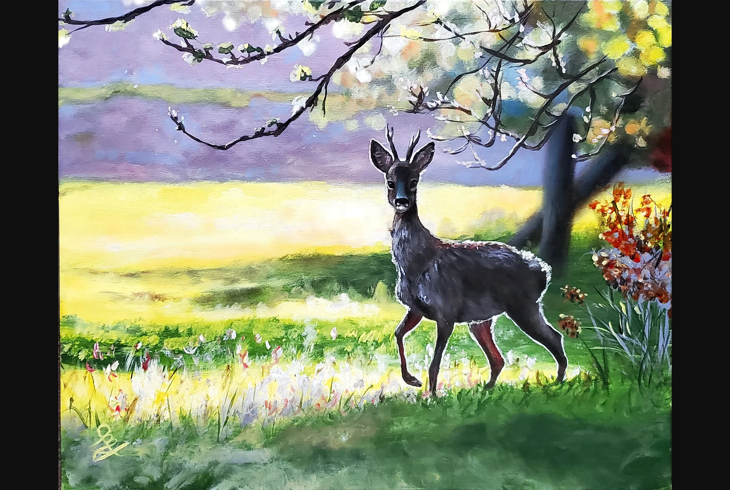 Deer in the Meadow