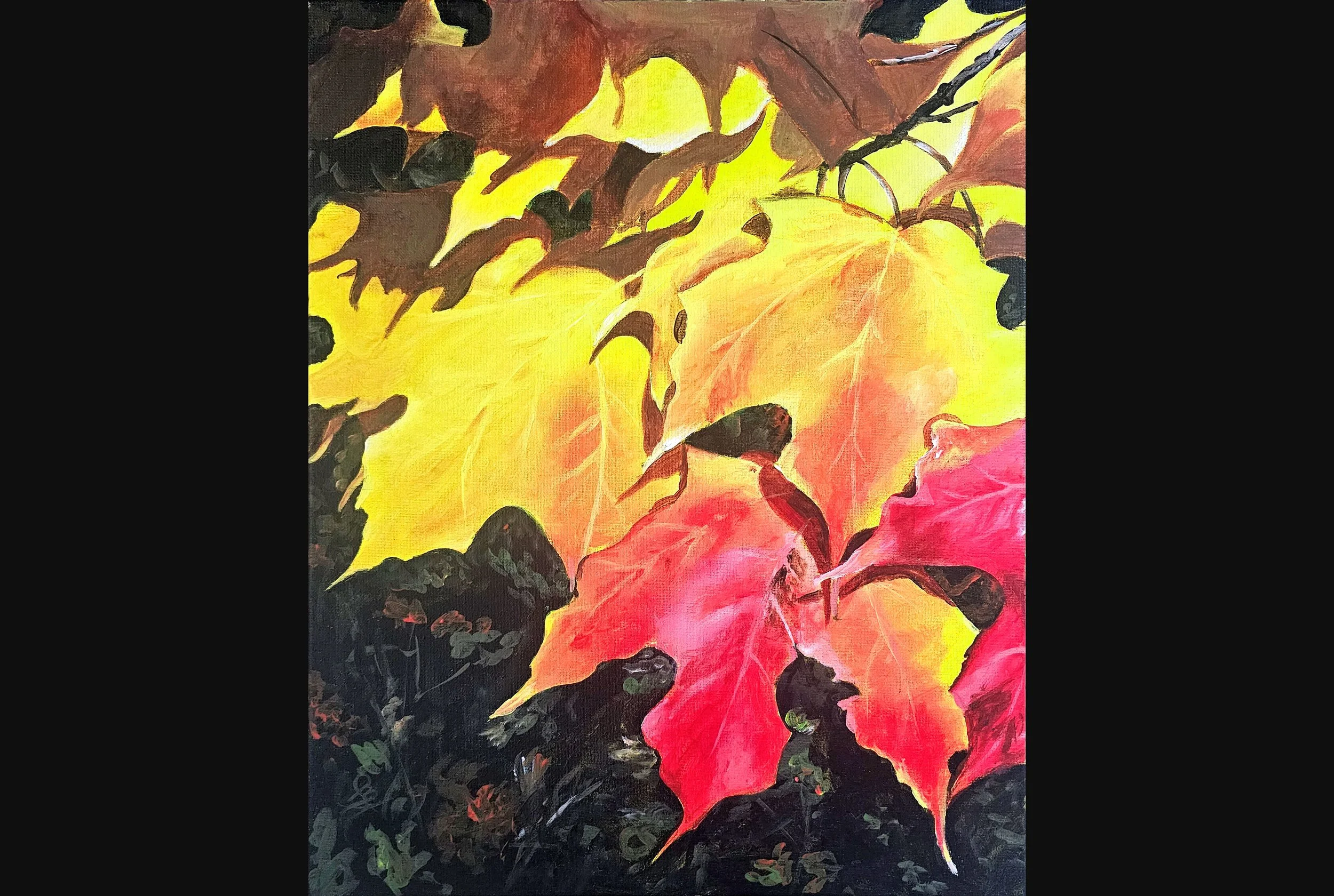 Leaves are Changing