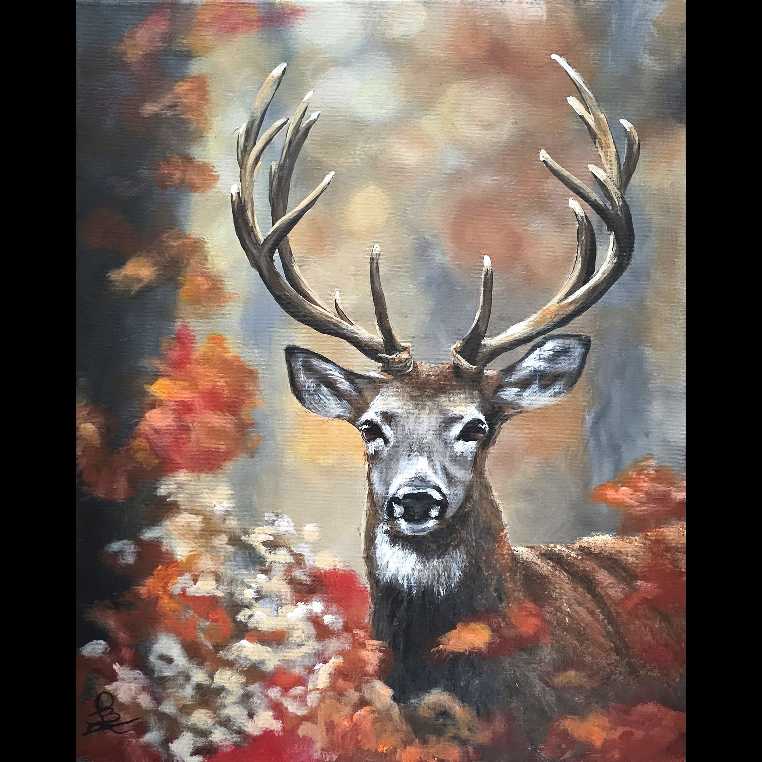 Deer in Autumn