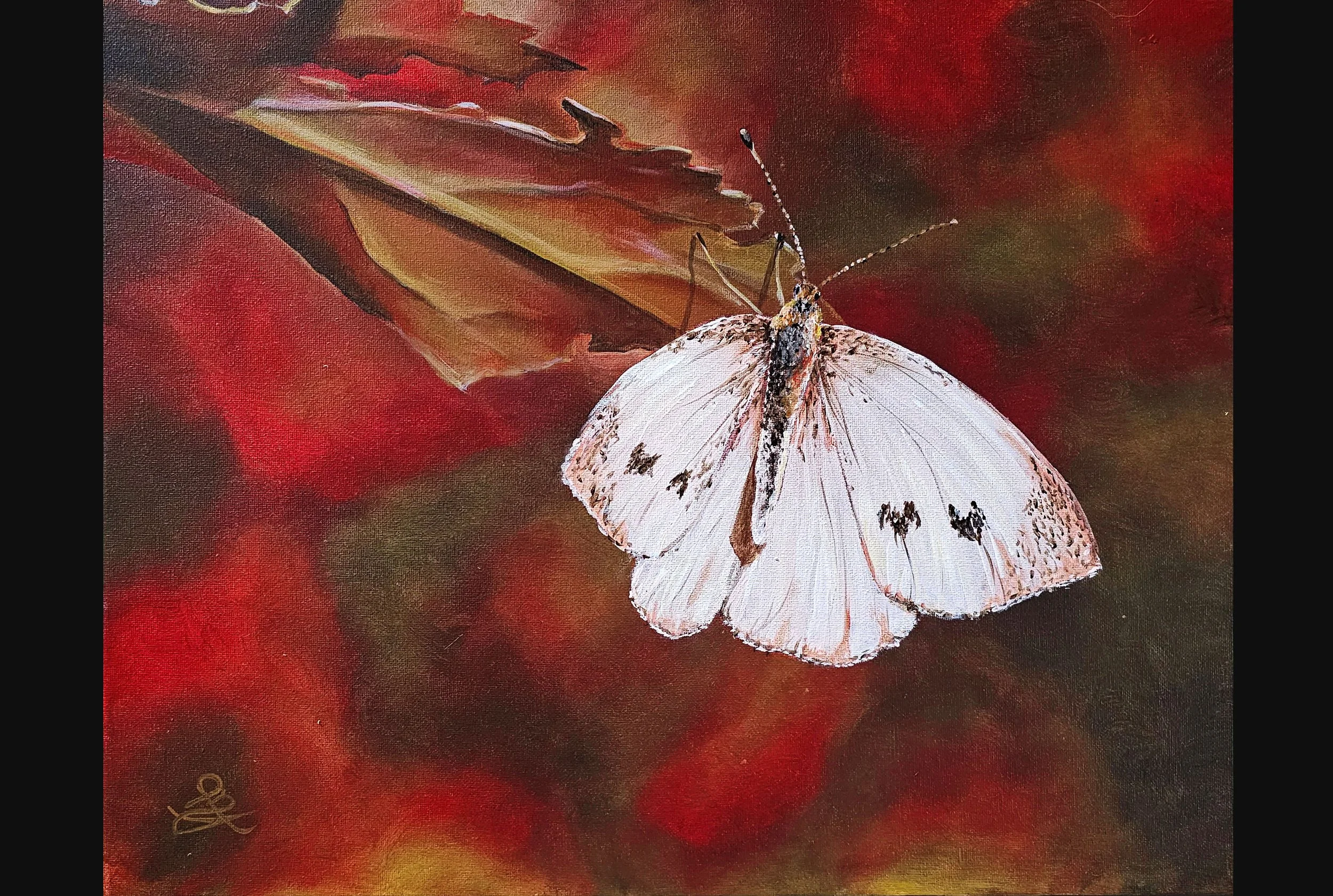 Butterfly Autum Leaf