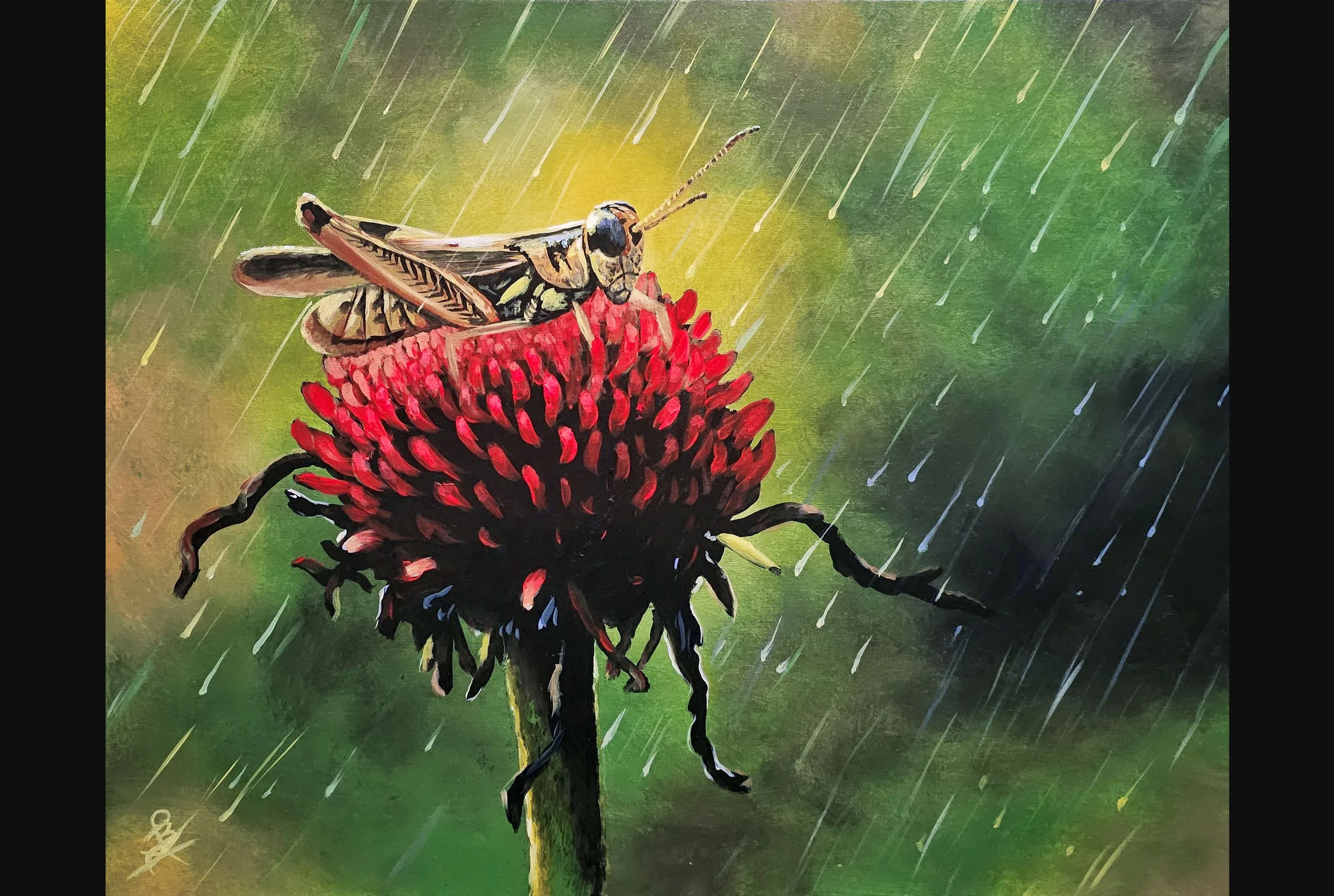 Grasshopper in the Rain