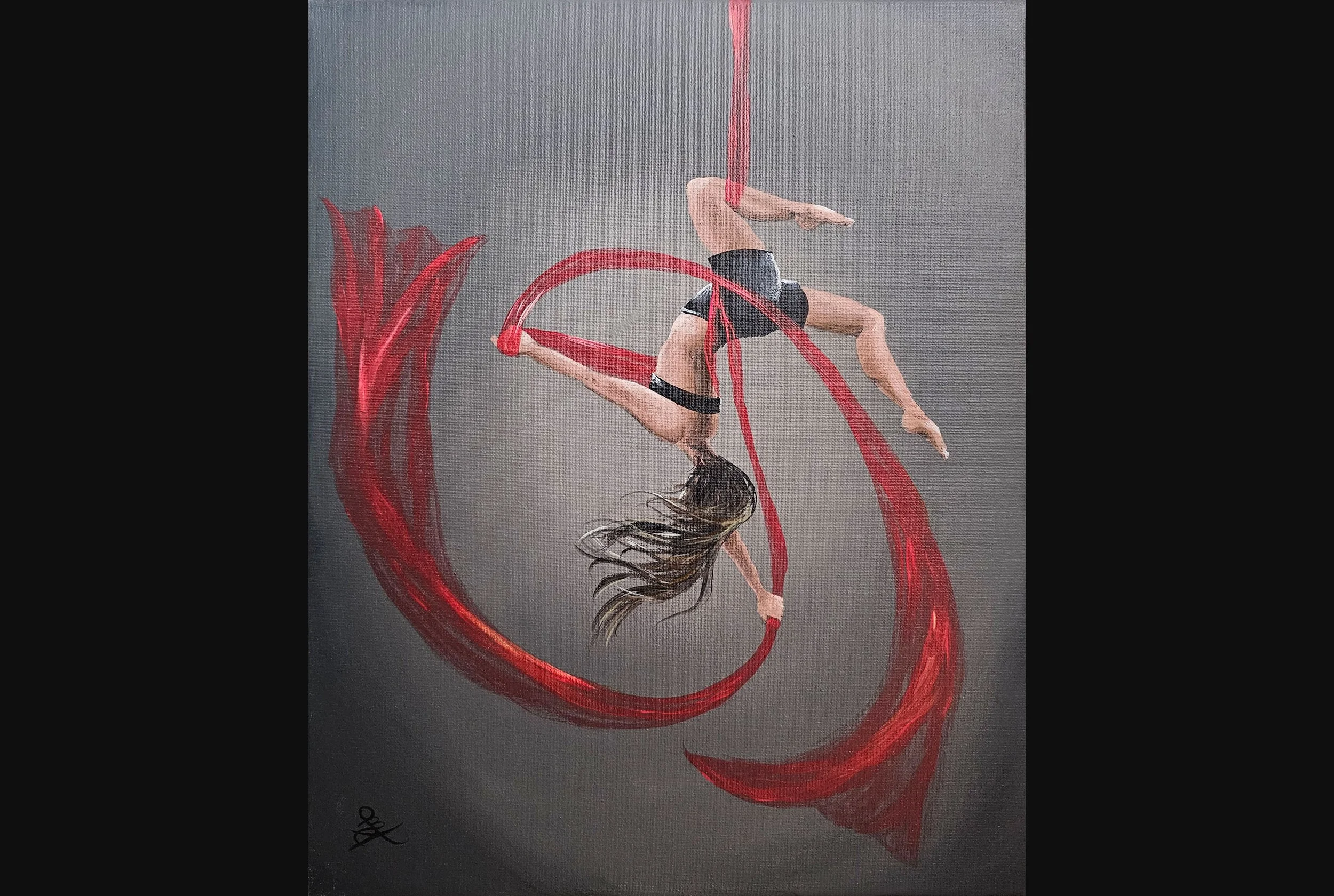 Aerial Acrobat