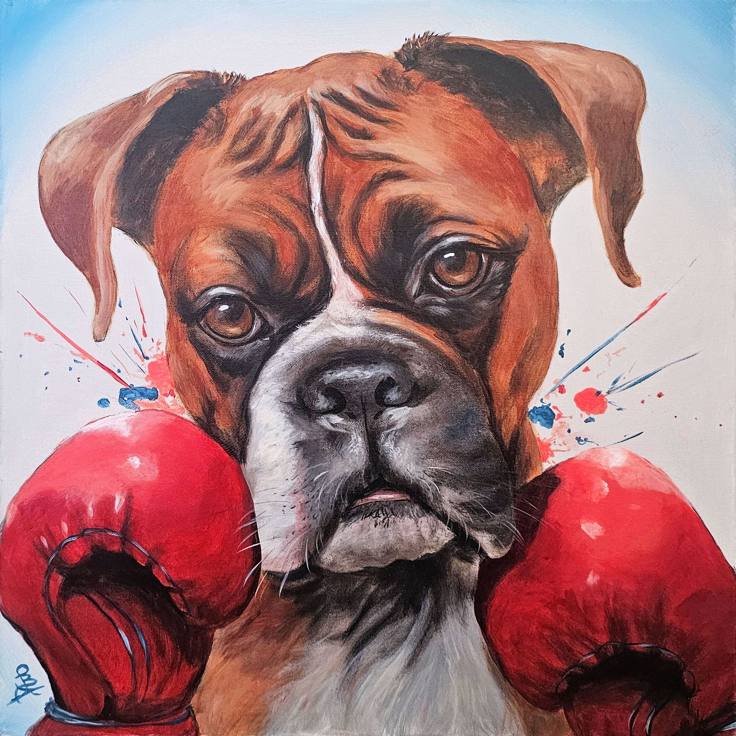 Boxer, Boxer