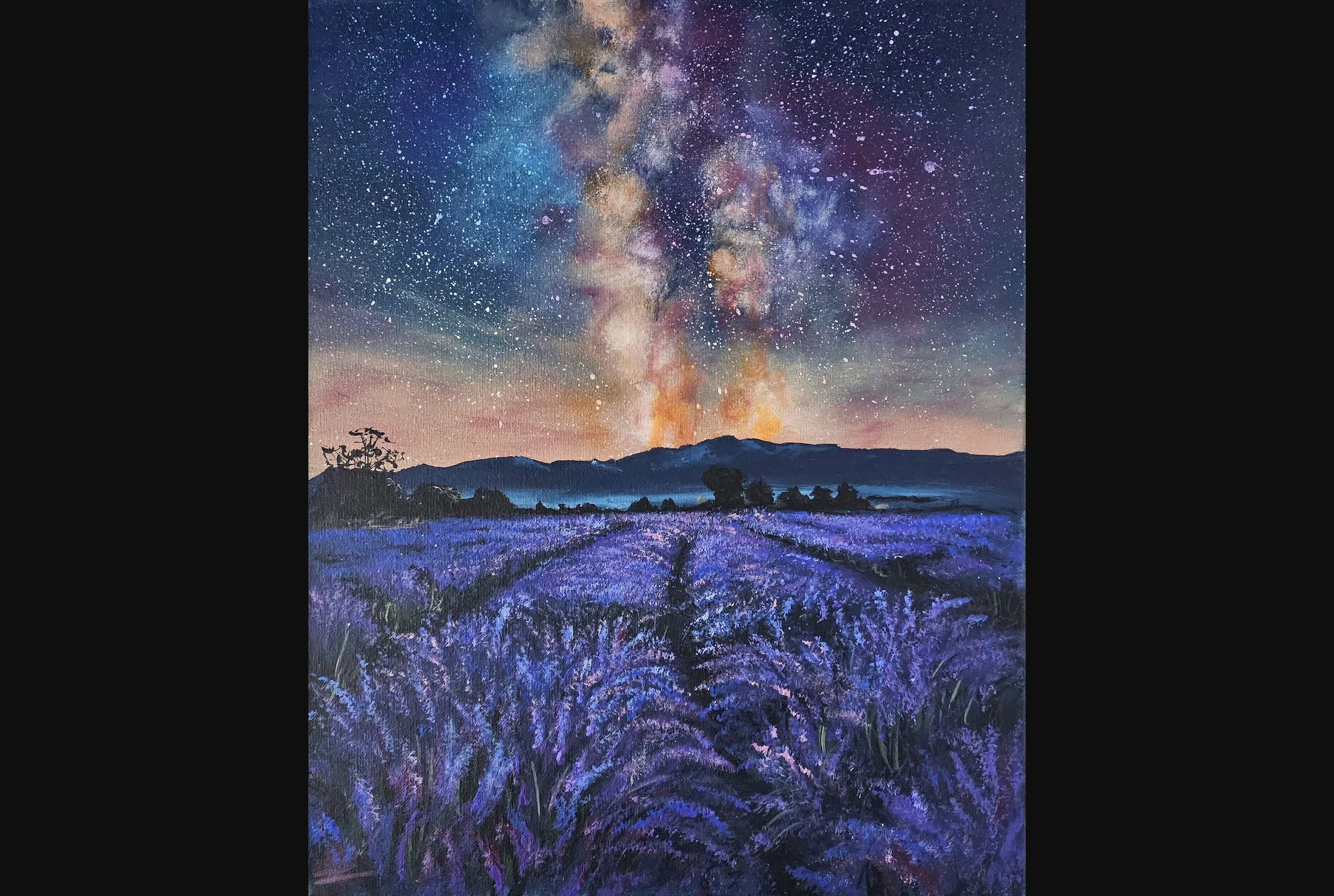 Starry Night Lavender Field