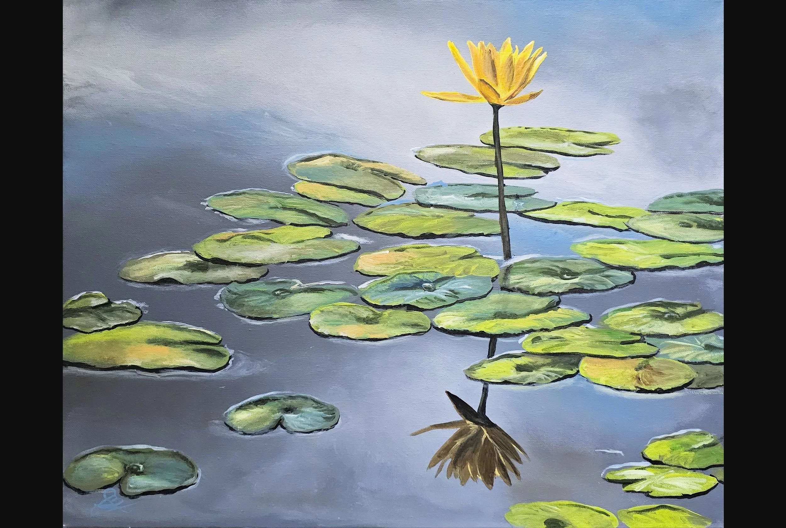 Lily Pad Pond