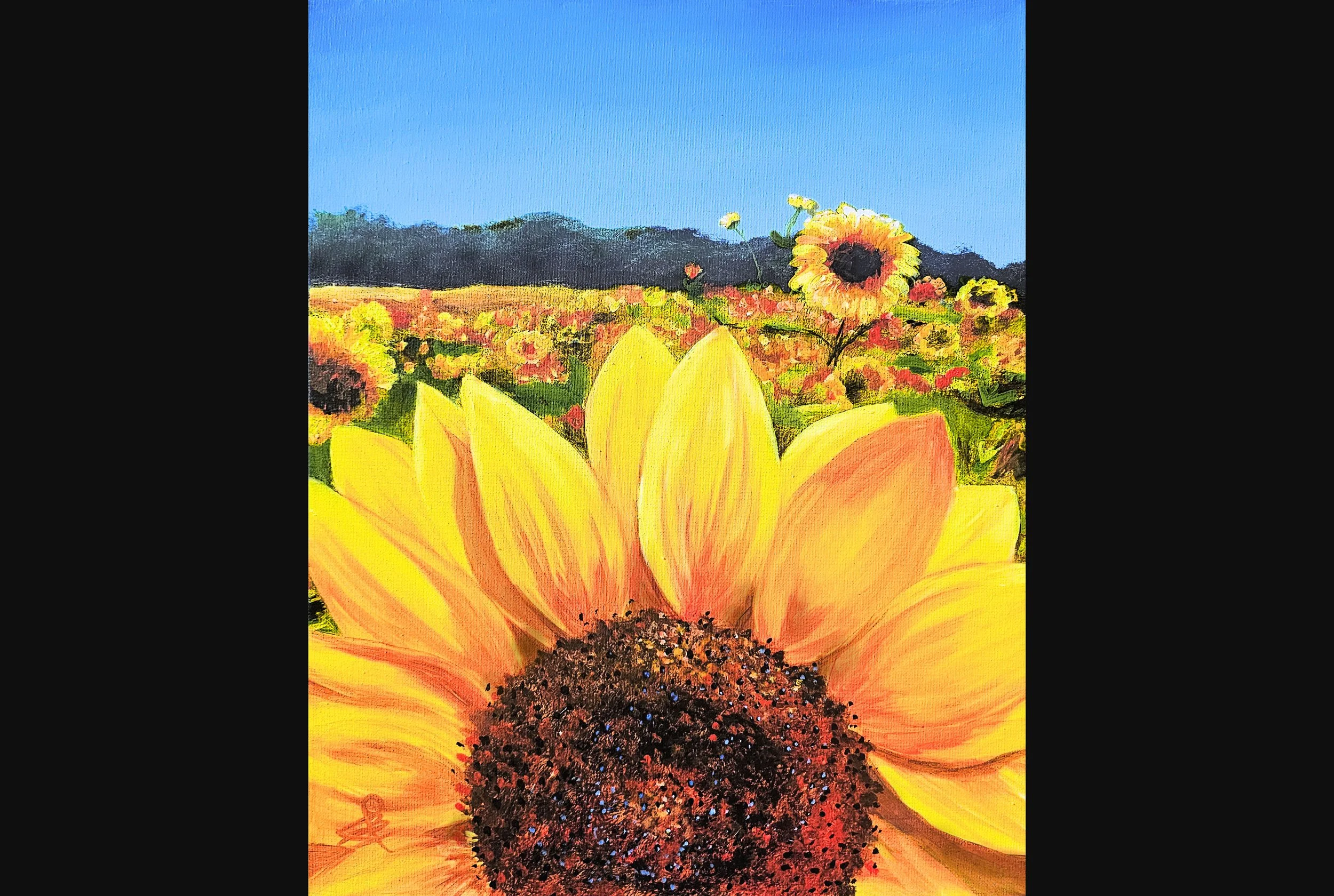 Sunflower Summer