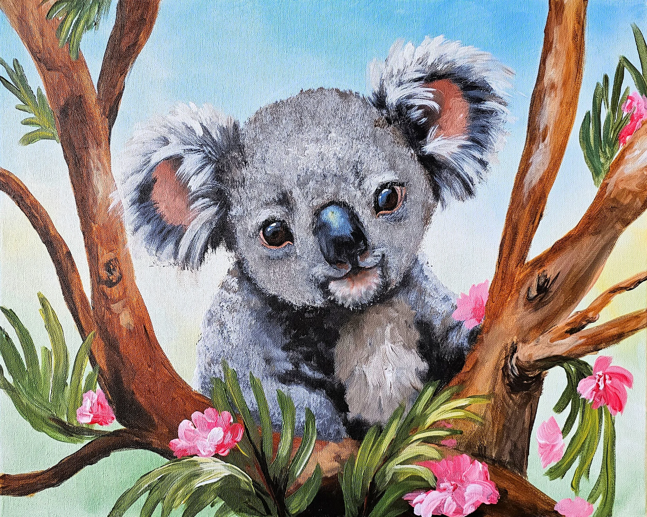 Cuddly Koala